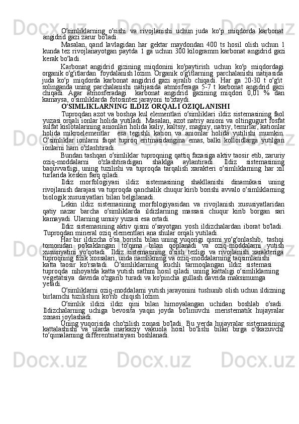O ’ simliklarning  o ’ sishi	  va	  rivojlanishi	  uchun	  juda	  ko ’ p	  miqdorda	  karbonat  
angidrid	
  gazi	  zarur	  bo ’ ladi.
Masalan,	
  qand	  lavlagidan	  har	  gektar	  maydondan	  400	  ts	  hosil	  olish	  uchun	 1
kunda	
  tez	  rivojlanayotgan	  paytda	 1  ga	  uchun	  300	  kilogramm	  karbonat	  angidrid	  gazi
kerak	
  bo ’ ladi.
Karbonat	
  angidrid	  gizining	  miqdonini	  ko ’ paytirish	  uchun	  ko ’ p	  miqdordagi  
organik	
  o ’ g ’ itlardan	  foydalanish	  lozim.	  Organik	  o ’ g ’ itlarning	  parchalanishi	  natijasida  
juda	
  ko ’ p	  miqdorda	  karbonat	  angidrid	  gazi	  ajralib	  chiqadi.	  Har	  ga	  20-30	  t	  o ’ g ’ it	 
solinganda	
  uning	  parchalanishi	  natijasida	  atmosferaga	  5-7	  t  karbonat	  angidrid	  gazi
chiqadi.	
  Agar	  atmosferadagi	  karbonat	  angidrid	  gazining	  miqdori	  0,01	  %	  dan
kamaysa,	
  o ’ simliklarda	  fotosintez	  jarayoni	  to ’ xtaydi.
O ’ SIMLIKLARNING	
  ILDIZ	  ORQALI	  OZIQLANISHI
Tuproqdan	
  azot	  va	  boshqa	  kul	  elementlari	  o ’ simliklari	  ildiz	  sistemasining	  faol
yuzasi	
  orqali	  ionlar	  holida	  yutiladi.	  Masalan,	  azot	  natriy	  anioni	  va	  oltingugurt	  fosfat
sulfat	
  kislotalarining	  anionlari	  holida	  kaliy,	  kaltsiy,	  magniy,	  natriy,	  temirlar,	  kationlar
holida	
  mikroelementlar	  esa	  tegishli	  kation	  va	  anionlar	  holida	  yutilishi	  mumkin.
O ’ simliklar	
  ionlarni	  faqat	  tuproq	  eritmasidangina	  emas,	  balki	  kolloidlarga	  yutilgan
ionlarni	
  ham	  o ’ zlashtiradi.
Bundan
  tashqari	  o ’ simliklar	  tuproqning	  qattiq	  fazasiga	  aktiv	  taosir	  etib,	  zaruriy
oziq-moddalarni	
  o ’ zlashtiradigan	  shaklga	  aylantiradi.	  Ildiz	  sistemasining
baquvvatligi,	
  uning	  tuzilishi	  va	  tuproqda	  tarqalish	  xarakteri	  o ’ simliklarning	  har	  xil
turlarida	
  keskin	  farq	  qiladi.
Ildiz	
  morfologiyasi	  ildiz	  sistemasining	  shakllanishi	  dinamikasi	  uning
rivojlanish	
  darajasi	  va	  tuproqda	  qanchalik	  chuqur	  kirib	  borishi	  avvalo	  o ’ simliklarning
biologik	
  xususiyatlari	  bilan	  belgilanadi.
Lekin	
  ildiz	  sistemasining	  morfologiyasidan	  va	  rivojlanish	  xususiyatlaridan
qatiy	
  nazar	  barcha	  o ’ simliklarda	  ildizlarning	  massasi	  chuqur	  kirib	  borgan	  sari
kamayadi.	
  Ularning	  umuiy	  yuzasi	  esa	  ortadi.
Ildiz	
  sistemasining	  aktiv	  qismi	  o ’ sayotgan	  yosh	  ildizchalardan	  iborat	  bo ’ ladi.  
Tuproqdan	
  mineral	  oziq	  elementlari	  ana	  shular	  orqali	  yutiladi.
Har	
  bir	  ildizcha	  o ’ sa	  borishi	  bilan	  uning	  yuqorigi	  qismi	  yo ’ g ’ onlashib,	  tashqi  
tomonidan	
  po ’ kaklangan	  to ’ qima	  bilan	  qoplanadi	  va	  oziq-moddalarni	  yutish
xususiyatini	
  yo ’ qotadi.	  Ildiz	  sistemasining	  o ’ sish	  tezligi	  va	  rivojlanish	  xarakteriga  
tuproqning	
  fizik	  xossalari,	  unda	  namlikning	  va	  oziq-moddalarning	  taqsimlanishi	 
katta   taosir	
  ko ’ rsatadi.	  O ’ simliklarning	  kuchli	  tarmoqlangan	  ildiz	  sistemasi	 
tuproqda   nihoyatda	
  katta	  yutish	  sathini	  hosil	  qiladi.	  uning	  kattaligi	  o ’ simliklarning	 
vegetatsiya   davrida	
  o ’ zgarib	  turadi	  va	  ko ’ pincha	  gullash	  davrida	  maksimumga	 
yetadi.
O ’ simliklarni	
  oziq-moddalarni	  yutish	  jarayonini	  tushunib	  olish	  uchun	  ildizning
birlamchi	
  tuzilishini	  ko ’ rib	  chiqish	  lozim.
O ’ simlik	
  ildizi	  ildiz	  qini	  bilan	  himoyalangan	  uchidan	  boshlab	  o ’ sadi.  
Ildizchalarning	
  uchiga	  bevosita	  yaqin	  joyda	  bo ’ linuvchi	  meristematik	  hujayralar
zonasi	
  joylashadi.
Uning	
  yuqorisida	  cho ’ zilish	  zonasi	  bo ’ ladi.	  Bu	  yerda	  hujayralar	  sistemasining
kattalashishi	
  va	  ularda	  markaziy	  vakuola	  hosil	  bo ’ lishi	  bilan	  birga	  o ’ tkazuvchi  
to ’ qimalarning	
  differentsiatsiyasi	  boshlanadi. 