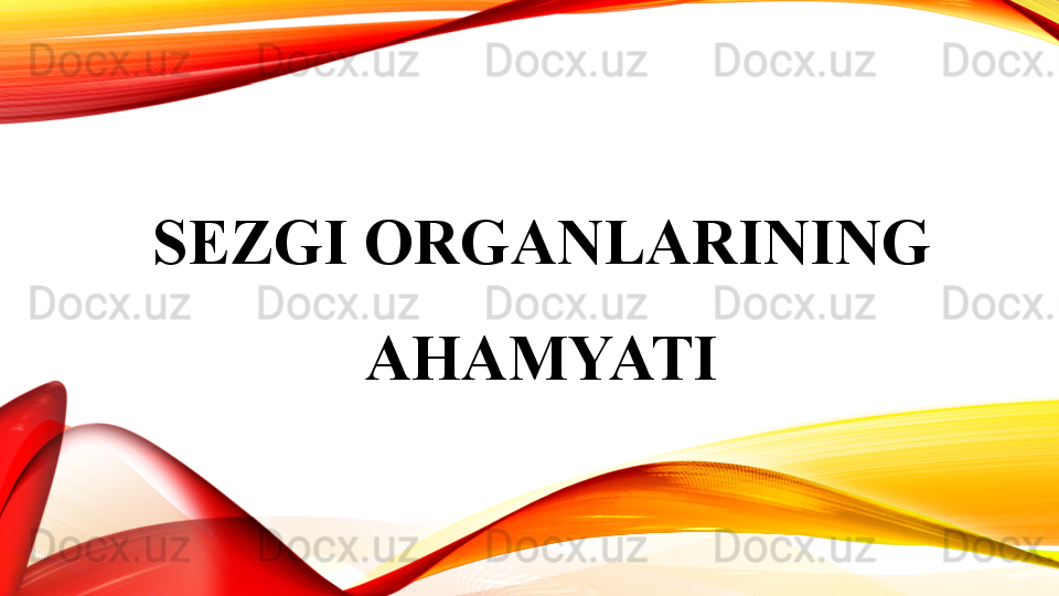 SEZGI ORGANLARINING 
AHAMYATI 