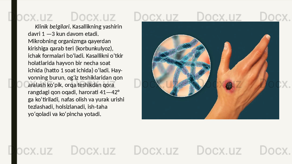       Klinik belgilari.  Kasallikning yashirin 
davri 1 —3 kun davom etadi. 
Mikrobning organizmga qayerdan 
kirishiga qarab teri (korbunkulyoz), 
ichak formalari boʻladi. Kasallikni oʻtkir 
holatlarida hayvon bir necha soat 
ichida (hatto 1 soat ichida) oʻladi. Hay-
vonning burun, ogʻiz teshiklaridan qon 
aralash koʻpik, orqa teshikdan qora 
rangdagi qon oqadi, harorati 41—42° 
ga koʻtiriladi, nafas olish va yurak urishi 
tezlashadi, holsizlanadi, ish-taha 
yoʻqoladi va koʻpincha yotadi.  