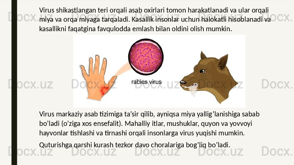 Virus shikastlangan teri orqali asab oxirlari tomon harakatlanadi va ular orqali 
miya va orqa miyaga tarqaladi. Kasallik insonlar uchun halokatli hisoblanadi va 
kasallikni faqatgina favqulodda emlash bilan oldini olish mumkin.
Virus markaziy asab tizimiga ta’sir qilib, ayniqsa miya yallig’lanishiga sabab 
bo’ladi (o’ziga xos ensefalit). Mahalliy itlar, mushuklar, quyon va yovvoyi 
hayvonlar tishlashi va tirnashi orqali insonlarga virus yuqishi mumkin.
Quturishga qarshi kurash tezkor davo choralariga bog’liq bo’ladi. 