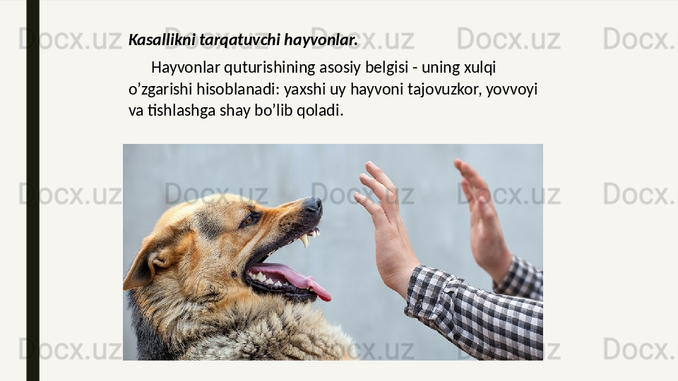 Kasallikni tarqatuvchi hayvonlar.
       Hayvonlar quturishining asosiy belgisi - uning xulqi 
o’zgarishi hisoblanadi: yaxshi uy hayvoni tajovuzkor, yovvoyi 
va tishlashga shay bo’lib qoladi. 