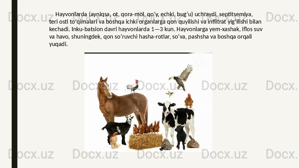       Hayvonlarda (ayniqsa, ot, qora-mol, qoʻy, echki, bugʻu) uchraydi, septitsemiya, 
teri osti toʻqimalari va boshqa ichki organlarga qon quyilishi va infiltrat yigʻilishi bilan 
kechadi. Inku-batsion davri hayvonlarda 1—3 kun. Hayvonlarga yem-xashak, iflos suv 
va havo, shuningdek, qon soʻruvchi hasha-rotlar, soʻva, pashsha va boshqa orqali 
yuqadi.  