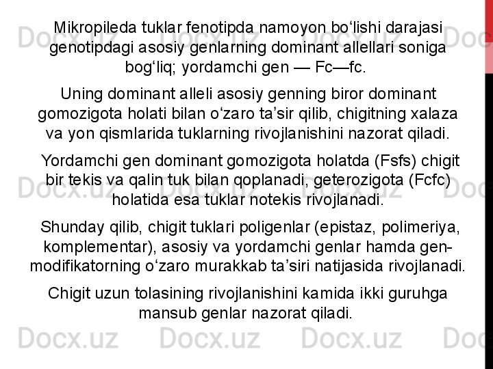 Mikropileda tuklar fenotipda namoyon bo lishi darajasi ʻ
genotipdagi asosiy genlarning dominant allellari soniga 
bog liq; yordamchi gen — Fc—fc. 	
ʻ
Uning dominant alleli asosiy genning biror dominant 
gomozigota holati bilan o zaro ta sir qilib, chigitning xalaza 	
ʻ ʼ
va yon qismlarida tuklarning rivojlanishini nazorat qiladi.
  Yordamchi gen dominant gomozigota holatda (Fsfs) chigit 
bir tekis va qalin tuk bilan qoplanadi, geterozigota (Fcfc) 
holatida esa tuklar notekis rivojlanadi.
  Shunday qilib, chigit tuklari poligenlar (epistaz, polimeriya, 
komplementar), asosiy va yordamchi genlar hamda gen-
modifikatorning o zaro murakkab ta siri natijasida rivojlanadi. 	
ʻ ʼ
Chigit uzun tolasining rivojlanishini kamida ikki guruhga 
mansub genlar nazorat qiladi.  