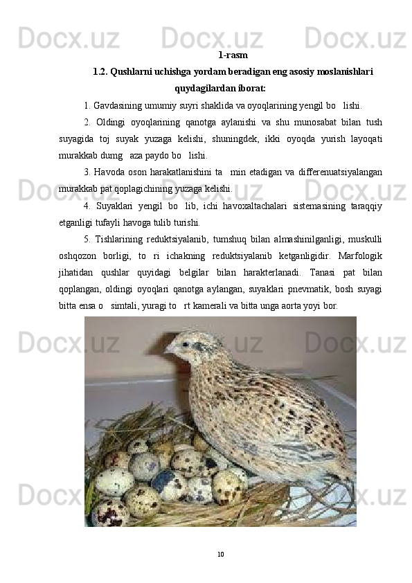 1-rasm
1.2. Qushlarni uchishga yordam beradigan eng asosiy moslanishlari
quydagilardan iborat:
1. Gavdasining umumiy suyri shaklida va oyoqlarining yengil bo lishi.
2.   Oldingi   oyoqlarining   qanotga   aylanishi   va   shu   munosabat   bilan   tush
suyagida   toj   suyak   yuzaga   kelishi,   shuningdek,   ikki   oyoqda   yurish   layoqati
murakkab dumg aza paydo bo lishi.	
 
3.   Havoda   oson   harakatlanishini   ta min   etadigan   va   differenuatsiyalangan	

murakkab pat qoplagichining yuzaga kelishi.
4.   Suyaklari   yengil   bo lib,   ichi   havoxaltachalari   sistemasining   taraqqiy	

etganligi tufayli havoga tulib turishi.
5.   Tishlarining   reduktsiyalanib,   tumshuq   bilan   almashinilganligi,   muskulli
oshqozon   borligi,   to ri   ichakning   reduktsiyalanib   ketganligidir.   Marfologik	

jihatidan   qushlar   quyidagi   belgilar   bilan   harakterlanadi.   Tanasi   pat   bilan
qoplangan,   oldingi   oyoqlari   qanotga   aylangan,   suyaklari   pnevmatik,   bosh   suyagi
bitta ensa o simtali, yuragi to rt kamerali va bitta unga aorta yoyi bor. 	
 
10 