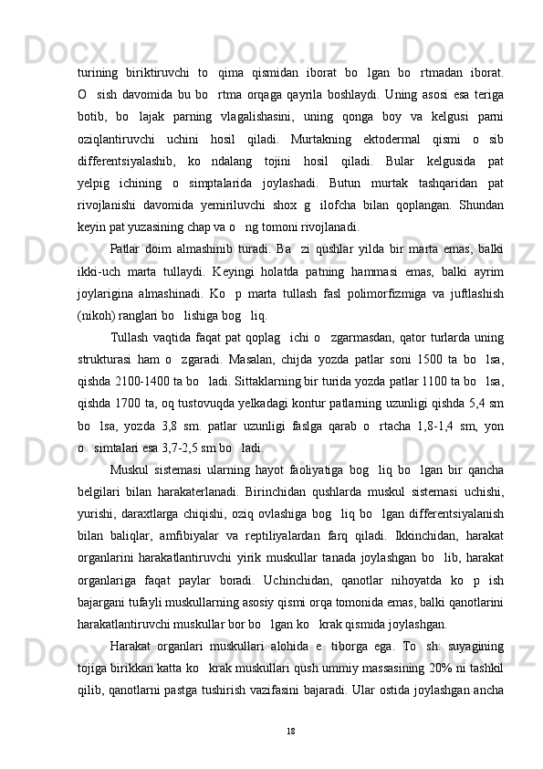 turining   biriktiruvchi   to qima   qismidan   iborat   bo lgan   bo rtmadan   iborat.  
O sish   davomida   bu   bo rtma   orqaga   qayrila   boshlaydi.   Uning   asosi   esa   teriga	
 
botib,   bo lajak   parning   vlagalishasini,   uning   qonga   boy   va   kelgusi   parni	

oziqlantiruvchi   uchini   hosil   qiladi.   Murtakning   ektodermal   qismi   o sib	

differentsiyalashib,   ko ndalang   tojini   hosil   qiladi.   Bular   kelgusida   pat	

yelpig ichining   o simptalarida   joylashadi.   Butun   murtak   tashqaridan   pat	
 
rivojlanishi   davomida   yemiriluvchi   shox   g ilofcha   bilan   qoplangan.   Shundan	

keyin pat yuzasining chap va o ng tomoni rivojlanadi.	

Patlar   doim   almashinib   turadi.   Ba zi   qushlar   yilda   bir   marta   emas,   balki	

ikki-uch   marta   tullaydi.   Keyingi   holatda   patning   hammasi   emas,   balki   ayrim
joylarigina   almashinadi.   Ko p   marta   tullash   fasl   polimorfizmiga   va   juftlashish	

(nikoh) ranglari bo lishiga bog liq.	
 
Tullash   vaqtida   faqat   pat   qoplag ichi   o zgarmasdan,   qator   turlarda   uning	
 
strukturasi   ham   o zgaradi.  	
 Masalan,   chijda   yozda   patlar   soni   1500   ta   bo lsa,	
qishda 2100-1400 ta bo ladi. Sittaklarning bir turida yozda patlar 1100 ta bo lsa,	
 
qishda 1700 ta, oq tustovuqda yelkadagi kontur patlarning uzunligi qishda 5,4 sm
bo lsa,   yozda   3,8   sm.   patlar   uzunligi   faslga   qarab   o rtacha   1,8-1,4   sm,   yon	
 
o simtalari esa 3,7-2,5 sm bo ladi.
 
Muskul   sistemasi   ularning   hayot   faoliyatiga   bog liq   bo lgan   bir   qancha	
 
belgilari   bilan   harakaterlanadi.   Birinchidan   qushlarda   muskul   sistemasi   uchishi,
yurishi,   daraxtlarga   chiqishi,   oziq   ovlashiga   bog liq   bo lgan   differentsiyalanish	
 
bilan   baliqlar,   amfibiyalar   va   reptiliyalardan   farq   qiladi.   Ikkinchidan,   harakat
organlarini   harakatlantiruvchi   yirik   muskullar   tanada   joylashgan   bo lib,   harakat	

organlariga   faqat   paylar   boradi.   Uchinchidan,   qanotlar   nihoyatda   ko p   ish	

bajargani tufayli muskullarning asosiy qismi orqa tomonida emas, balki qanotlarini
harakatlantiruvchi muskullar bor bo lgan ko krak qismida joylashgan.	
 
Harakat   organlari   muskullari   alohida   e tiborga   ega.   To sh:   suyagining	
 
tojiga birikkan katta ko krak muskullari qush ummiy massasining 20% ni tashkil	

qilib, qanotlarni pastga tushirish vazifasini  bajaradi. Ular ostida joylashgan ancha
18 