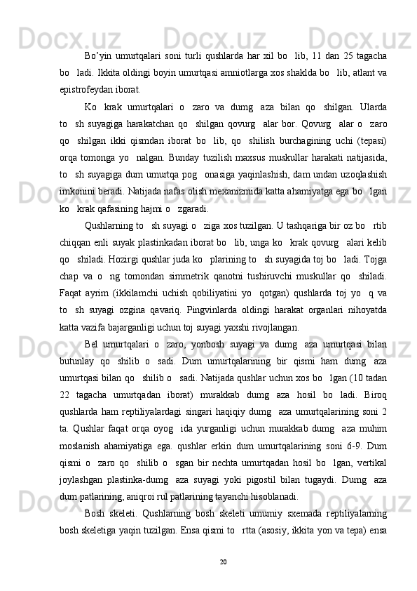 Bo’yin   umurtqalari   soni   turli   qushlarda   har   xil   bo lib,   11   dan   25   tagacha
bo ladi. Ikkita oldingi boyin umurtqasi amniotlarga xos shaklda bo lib, atlant va	
 
epistrofeydan iborat.
Ko krak   umurtqalari   o zaro   va   dumg aza   bilan   qo shilgan.   Ularda	
   
to sh   suyagiga   harakatchan   qo shilgan   qovurg alar   bor.   Qovurg alar   o zaro	
    
qo shilgan   ikki   qismdan   iborat   bo lib,   qo shilish   burchagining   uchi   (tepasi)
  
orqa   tomonga   yo nalgan.   Bunday   tuzilish   maxsus   muskullar   harakati   natijasida,	

to sh suyagiga dum umurtqa pog onasiga  yaqinlashish, dam  undan uzoqlashish	
 
imkonini beradi. Natijada nafas olish mexanizmida katta ahamiyatga ega bo lgan	

ko krak qafasining hajmi o zgaradi.	
 
Qushlarning to sh suyagi o ziga xos tuzilgan. U tashqariga bir oz bo rtib	
  
chiqqan enli suyak plastinkadan iborat bo lib, unga ko krak qovurg alari kelib	
  
qo shiladi. Hozirgi qushlar juda ko plarining to sh suyagida toj bo ladi. Tojga	
   
chap   va   o ng   tomondan   simmetrik   qanotni   tushiruvchi   muskullar   qo shiladi.	
 
Faqat   ayrim   (ikkilamchi   uchish   qobiliyatini   yo qotgan)   qushlarda   toj   yo q   va	
 
to sh   suyagi   ozgina   qavariq.   Pingvinlarda   oldingi   harakat   organlari   nihoyatda	

katta vazifa bajarganligi uchun toj suyagi yaxshi rivojlangan.
Bel   umurtqalari   o zaro,   yonbosh   suyagi   va   dumg aza   umurtqasi   bilan	
 
butunlay   qo shilib   o sadi.   Dum   umurtqalarining   bir   qismi   ham   dumg aza	
  
umurtqasi bilan qo shilib o sadi. Natijada qushlar uchun xos bo lgan (10 tadan	
  
22   tagacha   umurtqadan   iborat)   murakkab   dumg aza   hosil   bo ladi.   Biroq	
 
qushlarda   ham   reptiliyalardagi   singari   haqiqiy   dumg aza   umurtqalarining   soni   2

ta.   Qushlar   faqat   orqa   oyog ida   yurganligi   uchun   murakkab   dumg aza   muhim	
 
moslanish   ahamiyatiga   ega.   qushlar   erkin   dum   umurtqalarining   soni   6-9.   Dum
qismi   o zaro   qo shilib   o sgan   bir   nechta   umurtqadan   hosil   bo lgan,   vertikal	
   
joylashgan   plastinka-dumg aza   suyagi   yoki   pigostil   bilan   tugaydi.   Dumg aza	
 
dum patlarining, aniqroi rul patlarining tayanchi hisoblanadi.
Bosh   skeleti.   Qushlarning   bosh   skeleti   umumiy   sxemada   reptiliyalarning
bosh skeletiga yaqin tuzilgan. Ensa qismi to rtta (asosiy, ikkita yon va tepa) ensa	

20 