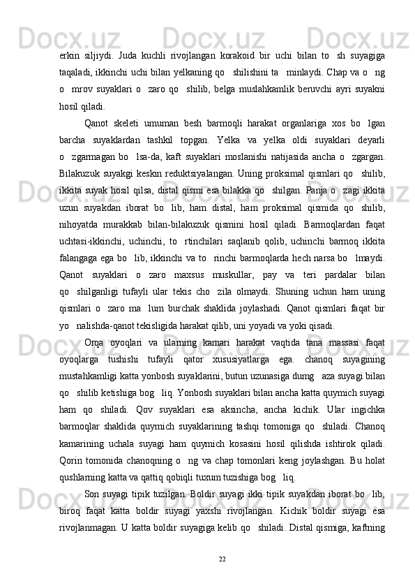 erkin   siljiydi.   Juda   kuchli   rivojlangan   korakoid   bir   uchi   bilan   to sh   suyagiga
taqaladi, ikkinchi uchi bilan yelkaning qo shilishini ta minlaydi. Chap va o ng	
  
o mrov   suyaklari   o zaro   qo shilib,   belga   muslahkamlik   beruvchi   ayri   suyakni	
  
hosil qiladi.
Qanot   skeleti   umuman   besh   barmoqli   harakat   organlariga   xos   bo lgan	

barcha   suyaklardan   tashkil   topgan.   Yelka   va   yelka   oldi   suyaklari   deyarli
o zgarmagan   bo lsa-da,   kaft   suyaklari   moslanishi   natijasida   ancha   o zgargan.	
  
Bilakuzuk suyakgi  keskin reduktsiyalangan. Uning proksimal  qismlari qo shilib,	

ikkita suyak hosil  qilsa, distal  qismi esa bilakka qo shilgan. Panja o zagi  ikkita	
 
uzun   suyakdan   iborat   bo lib,   ham   distal,   ham   proksimal   qismida   qo shilib,	
 
nihoyatda   murakkab   bilan-bilakuzuk   qismini   hosil   qiladi.   Barmoqlardan   faqat
uchtasi-ikkinchi,   uchinchi,   to rtinchilari   saqlanib   qolib,   uchinchi   barmoq   ikkita	

falangaga ega bo lib, ikkinchi va to rinchi barmoqlarda hech narsa bo lmaydi.	
  
Qanot   suyaklari   o zaro   maxsus   muskullar,   pay   va   teri   pardalar   bilan	

qo shilganligi   tufayli   ular   tekis   cho zila   olmaydi.   Shuning   uchun   ham   uning	
 
qismlari   o zaro   ma lum   burchak   shaklida   joylashadi.   Qanot   qismlari   faqat   bir	
 
yo nalishda-qanot tekisligida harakat qilib, uni yoyadi va yoki qisadi.	

Orqa   oyoqlari   va   ularning   kamari   harakat   vaqtida   tana   massasi   faqat
oyoqlarga   tushishi   tufayli   qator   xususiyatlarga   ega.   chanoq   suyagining
mustahkamligi katta yonbosh suyaklarini, butun uzunasiga dumg aza suyagi bilan	

qo shilib ketishiga bog liq. Yonbosh suyaklari bilan ancha katta quymich suyagi	
 
ham   qo shiladi.   Qov   suyaklari   esa   aksincha,   ancha   kichik.   Ular   ingichka	

barmoqlar   shaklida   quymich   suyaklarining   tashqi   tomoniga   qo shiladi.   Chanoq	

kamarining   uchala   suyagi   ham   quymich   kosasini   hosil   qilishda   ishtirok   qiladi.
Qorin   tomonida   chanoqning   o ng   va   chap   tomonlari   keng   joylashgan.   Bu   holat	

qushlarning katta va qattiq qobiqli tuxum tuzishiga bog liq.	

Son  suyagi   tipik  tuzilgan.   Boldir   suyagi   ikki   tipik  suyakdan   iborat   bo lib,	

biroq   faqat   katta   boldir   suyagi   yaxshi   rivojlangan.   Kichik   boldir   suyagi   esa
rivojlanmagan. U katta boldir suyagiga kelib qo shiladi. Distal qismiga, kaftning	

22 