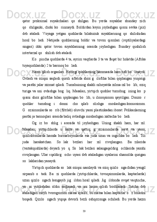 qator   proksimal   suyakchalari   qo shilgan.   Bu   yerda   suyaklar   shunday   zich
qo shilganki, choki  ko rinmaydi. Boldirdan keyin joylashgan  qismi  sevka  (pix)	
 
deb   ataladi.   Voyaga   yetgan   qushlarda   bilakuzuk   suyaklarining   qo shilishidan	

hosil   bo ladi.   Natijada   qushlarning   boldir   va   tovon   qismlari   (reptiliyalardagi	

singari)   ikki   qator   tovon   suyaklarining   orasida   joylashgan.   Bunday   qushilish
intertarzal qo shilish deb ataladi.	

Ko pincha qushlarda 4 ta, ayrim vaqtlarda 3 ta va faqat bir holatda (Afrika	

tuyaqushlarida) 2 ta barmoq bo ladi.	

Hazm qilish organlari. Hozirgi qushlarning hammasida ham tish bo lmaydi.	

Ovlash va oziqni saqlash quroli sifatida shox g ilofcha bilan qoplangan yuqorigi	

va pastki jalar xizmat qiladi. Tumshuining shakli nihoyatda xilma-xil bo lib, oziq	

turiga   va   uni   ovlashga   bog liq.   Masalan,   yirtqich   qushlar   tumshug ining   ko p	
  
qismi   shox   gilofcha   bilan   qoplangan   bo lib,   u   ilmoqsimon   qayrilgan.   Donxo r	
 
qushlar   tumshug i   donni   cho qilab   olishga   moslashgan-konussimon.	
 
G ozsimonlarda so rib (filtrlab) oluvchi yassi plastinkadan iborat. Pelikanlarning	
 
pastki ja tarmoqlari orasida baliq ovlashga moslashgan xaltacha bo ladi.	

Og iz   bo shlig i   asosida   til   joylashgan.   Uning   shakli   ham,   har   xil.	
  
Masalan,   yirtqichlarda   u   kalta   va   qattiq,   g ozsimonlarda   seret   va   yassi,	

qizilishtonlarda   hamda   burmaboyinlarda   esa   juda   uzun   va   ingichka   bo ladi.   Tili	

juda   harakatchan.   So lak   bezlari   har   xil   rivojlangan.   Ba zilarida	
 
(tentakqushlarda)   deyarli   yo q.   So lak   bezlari   salangaqaldirg ochlarida   yaxshi	
  
rivojlangan. Ular «qaldirg och» uyasi deb ataladigan uyalarini shamolda qurigan	

so laklaridan yasaydi. 	

Yirtqich qushlarda so lak oziqni namlaydi va oziq qizilo ngachdan yengil	
 
sirpanib   o tadi.   Ba zi   qushlarda   (yirtqichlarda,   tovuqsimonlarda,   kaptarlarda)	
 
uzun qizilo ngach kengayib jig ildon hosil qiladi. Jig ildonda ovqat vaqtincha,
  
ya ni   yutilishdan   oldin   saqlanadi   va   uni   hazm   qilish   boshlanadi.   Sutcha   deb	

ataladigan moyli tvorogsimon massa ajralib, bu massa bilan kaptarlar o z bolasini	

boqadi.   Qizilo ngach   yupqa   devorli   bezli   oshqozonga   ochiladi.   Bu   yerda   hazm	

23 