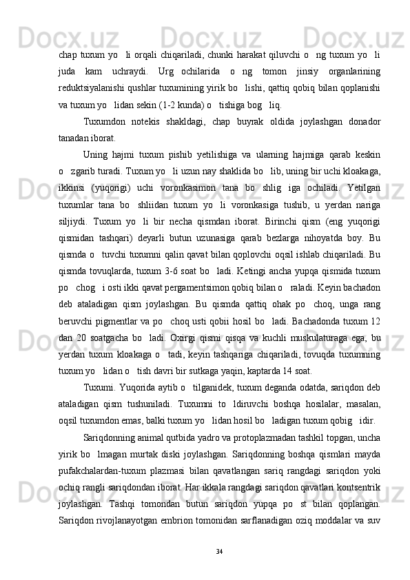 chap  tuxum   yo li   orqali  chiqariladi,  chunki  harakat  qiluvchi  o ng  tuxum   yo li  
juda   kam   uchraydi.   Urg ochilarida   o ng   tomon   jinsiy   organlarining	
 
reduktsiyalanishi  qushlar tuxumining yirik bo lishi, qattiq qobiq bilan qoplanishi	

va tuxum yo lidan sekin (1-2 kunda) o tishiga bog liq.	
  
Tuxumdon   notekis   shakldagi,   chap   buyrak   oldida   joylashgan   donador
tanadan iborat.
Uning   hajmi   tuxum   pishib   yetilishiga   va   ularning   hajmiga   qarab   keskin
o zgarib turadi. Tuxum yo li uzun nay shaklida bo lib, uning bir uchi kloakaga,	
  
ikkinsi   (yuqorigi)   uchi   voronkasimon   tana   bo shlig iga   ochiladi.   Yetilgan	
 
tuxumlar   tana   bo shliidan   tuxum   yo li   voronkasiga   tushib,   u   yerdan   nariga	
 
siljiydi.   Tuxum   yo li   bir   necha   qismdan   iborat.   Birinchi   qism   (eng   yuqorigi

qismidan   tashqari)   deyarli   butun   uzunasiga   qarab   bezlarga   nihoyatda   boy.   Bu
qismda o tuvchi tuxumni qalin qavat bilan qoplovchi oqsil ishlab chiqariladi. Bu	

qismda tovuqlarda, tuxum 3-6 soat  bo ladi. Ketingi  ancha yupqa qismida tuxum	

po chog i osti ikki qavat pergamentsimon qobiq bilan o raladi. Keyin bachadon	
  
deb   ataladigan   qism   joylashgan.   Bu   qismda   qattiq   ohak   po choq,   unga   rang	

beruvchi pigmentlar va po choq usti qobii hosil bo ladi. Bachadonda tuxum 12	
 
dan   20   soatgacha   bo ladi.   Oxirgi   qismi   qisqa   va   kuchli   muskulaturaga   ega,   bu	

yerdan   tuxum   kloakaga   o tadi,   keyin   tashqariga   chiqariladi,   tovuqda   tuxumning	

tuxum yo lidan o tish davri bir sutkaga yaqin, kaptarda 14 soat.	
 
Tuxumi. Yuqorida aytib o tilganidek, tuxum deganda odatda, sariqdon deb	

ataladigan   qism   tushuniladi.   Tuxumni   to ldiruvchi   boshqa   hosilalar,   masalan,	

oqsil tuxumdon emas, balki tuxum yo lidan hosil bo ladigan tuxum qobig idir.	
  
Sariqdonning animal qutbida yadro va protoplazmadan tashkil topgan, uncha
yirik   bo lmagan   murtak   diski   joylashgan.   Sariqdonning   boshqa   qismlari   mayda	

pufakchalardan-tuxum   plazmasi   bilan   qavatlangan   sariq   rangdagi   sariqdon   yoki
ochiq rangli sariqdondan iborat. Har ikkala rangdagi sariqdon qavatlari kontsentrik
joylashgan.   Tashqi   tomondan   butun   sariqdon   yupqa   po st   bilan   qoplangan.	

Sariqdon rivojlanayotgan embrion tomonidan sarflanadigan oziq moddalar va suv
34 