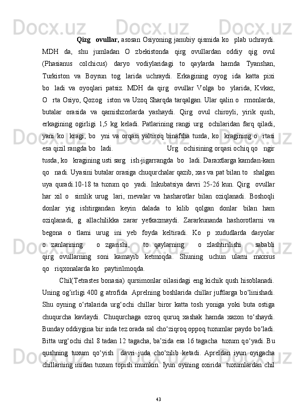                             Qizg ovullar,   asosan  Osiyoning  janubiy qismida  ko plab uchraydi.	
MDH   da,   shu   jumladan   O zbekistonda   qirg ovullardan   oddiy   qig ovul	
  
(Phasianus   colchicus)   daryo   vodiylaridagi   to qaylarda   hamda   Tyanshan,	

Turkiston   va   Boysun   tog larida   uchraydi.   Erkagining   oyog ida   katta   pixi	
 
bo ladi   va   oyoqlari   patsiz.   MDH   da   qirg ovullar   Volga   bo ylarida,   Kvkaz,	
  
O rta Osiyo, Qozog iston va Uzoq Sharqda tarqalgan. Ular qalin o rmonlarda,
  
butalar   orasida   va   qamishzorlarda   yashaydi.   Qirg ovul   chiroyli,   yirik   qush,	

erkagining   ogirligi   1,5   kg   keladi.   Patlarining   rangi   urg ochilaridan   farq   qiladi,	

yani   ko kragi,   bo yni   va   orqasi   yaltiroq   binafsha   tusda,   ko kragining   o rtasi	
   
esa qizil rangda bo ladi.                            Urg ochisining orqasi ochiq qo ngir	
  
tusda, ko kragining usti sarg ish-jigarrangda  bo ladi. Daraxtlarga kamdan-kam	
  
qo nadi. Uyasini butalar orasiga chuqurchalar qazib, xas va pat bilan to shalgan	
 
uya   quradi .10-18   ta   tuxum   qo yadi.   Inkubatsiya   davri   25-26   kun.   Qirg ovullar	
 
har   xil   o simlik   urug lari,   mevalar   va   hasharotlar   bilan   oziqlanadi.   Boshoqli	
 
donlar   yig ishtirgandan   keyin   dalada   to kilib   qolgan   donlar   bilan   ham	
 
oziqlanadi,   g allachilikka   zarar   yetkazmaydi.   Zararkunanda   hashorotlarni   va	

begona   o tlarni   urug ini   yeb   foyda   keltiradi.   Ko p   xududlarda   daryolar	
  
o zanlarining   o zgarishi,   to qaylarning   o zlashtirilishi   sababli	
   
qirg ovullarning   soni   kamayib   ketmoqda.   Shuning   uchun   ularni   maxsus	

qo riqxonalarda ko paytirilmoqda.
 
             Chil(Tetrastes  bonasia)  qursimonlar  oilasidagi  eng  kichik qush hisoblanadi.
Uning og’irligi 400 g atrofida   Aprelning boshlarida chillar juftlarga b о ‘linishadi.
Shu   oyning   о ‘rtalarida   urg‘ochi   chillar   biror   katta   tosh   yoniga   yoki   buta   ostiga
chuqurcha   kavlaydi.   Chuqurchaga   ozroq   quruq   xashak   hamda   xazon   t о ‘shaydi.
Bunday oddiygina bir inda tez orada sal ch о ‘ziqroq oppoq tuxumlar paydo b о ‘ladi.
Bitta urg‘ochi chil 8 tadan 12 tagacha, ba’zida esa 16 tagacha   tuxum q о ‘yadi. Bu
qushning   tuxum   q о ‘yish     davri   juda   ch о ‘zilib   ketadi.   Apreldan   iyun   oyigacha
chillarning   inidan   tuxum   topish   mumkin.   Iyun   oyining   oxirida     tuxumlardan   chil
43 