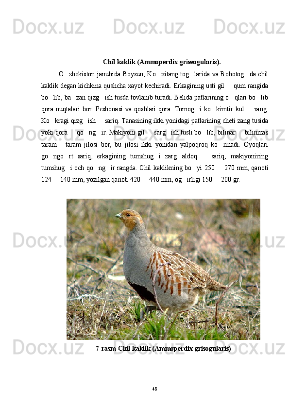                           Chil kaklik (Ammoperdix griseogularis).
O zbekiston janubida Boysun, Ko xitang tog larida va Bobotog da chil   
kaklik degan kichkina qushcha xayot kechiradi. Erkagining usti gil   qum rangida	

bo lib, ba zan qizg ish tusda tovlanib turadi. Belida patlarining o qlari bo lib	
    
qora   nuqtalari   bor.  Peshonasi   va   qoshlari   qora.  Tomog i   ko kimtir   kul     rang.	
  
Ko kragi qizg ish   sariq. Tanasining ikki yonidagi patlarining cheti zang tusida	
  
yoki qora   qo ng ir. Makiyoni gil   sarg ish tusli bo lib, bilinar   bilinmas	
      
taram   taram   jilosi   bor,   bu   jilosi   ikki   yonidan   yalpoqroq   ko rinadi.   Oyoqlari	
 
go ngo rt   sariq,   erkagining   tumshug i   zarg aldoq     sariq,   makiyonining	
    
tumshug i och qo ng ir rangda. Chil kaklikning bo yi 250   270 mm, qanoti	
    
124   140 mm, yozilgan qanoti 420   440 mm, og irligi 150   200 gr. 	
   
7-rasm Chil kaklik (Ammoperdix grisogularis)
48 