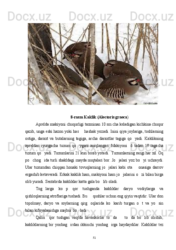 8-rasm Kaklik (Alectoris graeca )
Aprelda makiyoni chuqurligi taxminan 10 sm cha keladigan kichkina chuqur
qazib, unga eski hazon yoki has   hashak yozadi. Inini qiya joylariga, toshlarning
ostiga,   daraxt   va   butalarning   tagiga,   archa   daraxtlar   tagiga   qo yadi.   Kaklikning	

apreldan   iyungacha   tuxum   qo ygani   aniqlangan.   Makiyoni     6   tadan   19   tagacha	

tuxum qo yadi. Tuxumlarini 21 kun bosib yotadi.  Tuxumlarning rangi har xil. Oq	

po chog ida turli shakldagi mayda nuqtalari bor. Jo jalari yoz bo yi uchraydi.	
   
Ular   tuxumdan   chiqqan  honaki   tovuqlarning  jo jalari   kabi  ota    onasiga   darrov	
 
ergashib ketaveradi. Erkak kaklik ham, makiyoni ham jo jalarini o zi bilan birga	
 
olib yuradi. Sentabrda kakliklar katta gala bo lib oladi. 	

Tog larga   ko p   qor   tushganda   kakliklar   daryo   vodiylarga   va	
 
qishloqlarning atroflariga tushadi. Bu   qushlar uchun eng qiyin vaqtidir. Ular don	

topolmay,   daryo   va   soylarning   qirg oqlarida   ko karib   turgan   o t   va   yo sin
   
bilan kifoyalanishga majbur bo ladi. 	

Qalin     qor   tushgan   vaqtda   havaskorlar   to da     to da   bo lib   olishib,	
   
kakliklarning   bir   yonbag irdan   ikkinchi   yonbag irga   haydaydilar.   Kakliklar   tez	
 
51 
