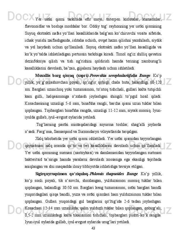 Yer   ustki   qismi   tarkibida   efir   moyi,   triterpen   kislotalar,   kumarinlar,
flavonoidlar  va boshqa  moddalar  bor. Oddiy tog‘  rayhonning yer  ustki  qismining
Suyuq   ekstrakti   nafas   yo‘llari   kasalliklarida   balg‘am   ko‘chiruvchi   vosita   sifatida,
ichak yurishi zaiflashganda, ishtaha ochish, ovqat hazm qilishni yaxshilash, siydik
va   yel   haydash   uchun   qo‘llaniladi.   Suyuq   ekstrakti   nafas   yo‘llari   kasalligida   va
ko‘k yo‘talda ishlatiladigan pertussin tarkibiga kiradi. Timol og‘iz shilliq qavatini
dezinfeksiya   qilish   va   tish   og‘rishini   qoldirish   hamda   terining   zamburug‘li
kasalliklarini davolash, ba’zan, gijjalarni haydash uchun ishlatiladi.
Muxallis   barg   qisraq   (xapri )-Perovskia   serophulariifolia   Bunge .   Ko‘p
yillik,   yo‘g‘onlashuvchan   poyali,   qo‘ng‘ir   qobiqli   chala   buta,   balandligi   60-120
sm.   Barglari   uzunchoq   yoki   tuxumsimon,   to‘ntoq   tishchali,   gullari   kalta   tutqichli
kam   gulli,   halqasimonga   o‘xshash   joylashgan   shingili   to‘pgul   hosil   qiladi.
Kosachasining   uzunligi   5-6   mm,   binafsha   rangli,   barcha   qismi   uzun   tuklar   bilan
qoplangan. Tojibarglari binafsha rangda, uzunligi 11-12 mm, siyrak momiq. Iyun-
iyulda gullab, iyul–avgust oylarida yetiladi.
Tog‘larning   pastki   mintaqalaridagi   suyurma   toshlar,   shag‘alli   joylarda
o‘sadi. Farg‘ona, Samarqand va Surxondaryo viloyatlarida tarqalgan.
Xalq tabobatida yer ustki qismi ishlatiladi. Yer ustki qismidan tayyorlangan
qaynatmasi   xalq   orasida   qo‘tir   va   teri   kasalliklarini   davolash   uchun   qo‘llaniladi.
Yer ustki qismining surmasi (nastoykasi)  va damlamasidan tayyorlangan surtmasi
bakteritsid   ta’siriga   hamda   yaralarni   davolash   xossasiga   ega   ekanligi   tajribada
aniqlangan va shu maqsadda ilmiy tibbiyotda ishlatishga tavsiya etilgan.
Sigirquyruqsimon   qo‘ziquloq -Phlomis   thapsoides   Bunge .   Ko‘p   yillik,
ko‘p   sonli   poyali,   tik   o‘suvchi,   shoxlangan,   yulduzsimon   momiq   tuklar   bilan
qoplangan,  balandligi  30-50  sm.  Barglari   keng  tuxumsimon,  ostki  barglari   bandli
yuqoridagilari   qisqa   bandli,  yuza   va   ostki   qismlari   ham   yulduzsimon   tuklar   bilan
qoplangan.   Gullari   yuqoridagi   gul   barglarini   qo‘ltig‘ida   2-6   tadan   joylashgan.
Kosachasi  12-14 mm uzunlikda, qalin yulduzli tuklar bilan qoplangan, qobirg‘ali,
0,5-2   mm   uzunlikdagi   kalta   tikansimon   tishchali,   tojibarglari   pushti-ko‘k   rangda.
Iyun-iyul oylarida gullab, iyul-avgust oylarida urug‘lari yetiladi.
43
