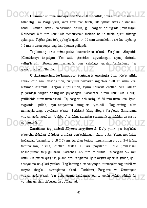 O‘rmon quddusi - Stachys silvatica L .   Ko‘p yillik, poyasi to‘g‘ri o‘suvchi,
balandligi   1m.   Bargi   yirik,   katta   arrasimon   tishli,   ikki   yuzasi   siyrak   tuklangan,
bandli.   Gullari   siyrak   halqasimon   bo‘lib,   gul   barglar   qo‘ltig‘ida   joylashgan.
Kosachasi   8-9   mm   uzunlikda   uchburchak   shaklda   bo‘lib   uchki   qismi   tikanga
aylangan. Tojibarglari to‘q qo‘ng‘ir qizil, 14-16 mm uzunlikda, ostki lab tojibargi
1.5 marta uzun yuqoridagidan. Iyunda gullaydi.
Tog‘larning   o‘rta   mintaqasida   butazorlarda   o‘sadi.   Farg‘ona   viloyatida
(Chodaksoy)   tarqalgan.   Yer   ustki   qismidan   tayyorlangan   suyuq   ekstrakti
yallig‘lanish,   fibromioma   natijasida   qon   ketishiga   qarshi,   bachadonni   tez
qisqartirishda qo‘llaniladi.
O‘tkirtangachali   ko‘kamaron-   Scutellaria   oxystegia   Juz . .   Ko‘p   yillik,
siyrak   ko‘p   sonli   yostiqsimon,   bir   yillik   novdalari   ingichka   5-10   sm   uzunlikda,
o‘tsimon   o‘simlik.   Barglari   ellipsisimon,   ayrim   hollarda   chetlari   tkis.   Gullari
yuqoridagi   barglar   qo‘ltig‘ida   joylashgan.   Kosachasi   2   mm   uzunlikda,   Urug‘i
yetilishida   biroz   uzunlashadi.   Tojibarglari   och   sariq,   25-30   mm   uzunlikda.   Iyun-
avgustda   gullab,   iyul-sentyabrda   urug‘lari   yetiladi.   Tog‘larning   o‘rta
mintaqalaridagi   qoyalarda   o‘sadi.   Toshkent   (shag`altog`)   Farg‘ona,   Samarqand
viloyatlarida tarqalgan. Ushbu o‘simlikni ildizidan spazmatik xastaliklariga qarshi
qo‘llaniladi.
Zarafshon   tog‘jambuli -Thymus   serpyllum   L.   Ko‘p   yillik,   yer   bag‘irlab
o‘suvchi,   ildizlari   oldidagi   qismlari   yog‘ochlangan   chala   buta.   Yangi   novdalari
tuklangan, balandligi 5-10 (15) sm. Barglari teskari tuxumsimon o‘troq. 3-4 tadan
tomirlangan,   tuksiz,   chetlari   tekkis.   Gullari   poyalarini   uchki   joylashgan
boshoqsimon   to‘p   gullardir.   Kosachasi   4-5   mm   uzunlikda.   Tojbarglari   5-7   mm
uzunlikda pushti-qizg‘ish, pushti-qizil ranglarda. Iyun-avgust oylarida gullab, iyul-
sentyabrda urug‘lari yetiladi. Tog‘larning o‘rta va yuqori mintaqalaridagi toshli va
mayda   shag‘alli   tuproqlarda   o‘sadi.   Toshkent,   Farg‘ona   va   Samarqand
viloyatlarida   o‘sadi.   Yer   ustki   qismi   damlamasi   og‘riq   qoldiruvchi,   radikulitda,
yo‘talga qarshi, ich burug‘da qo‘llaniladi.
45