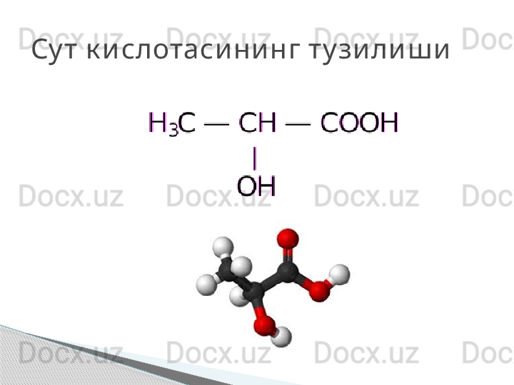 Су т к и слотаси ни нг ту зи ли ш и