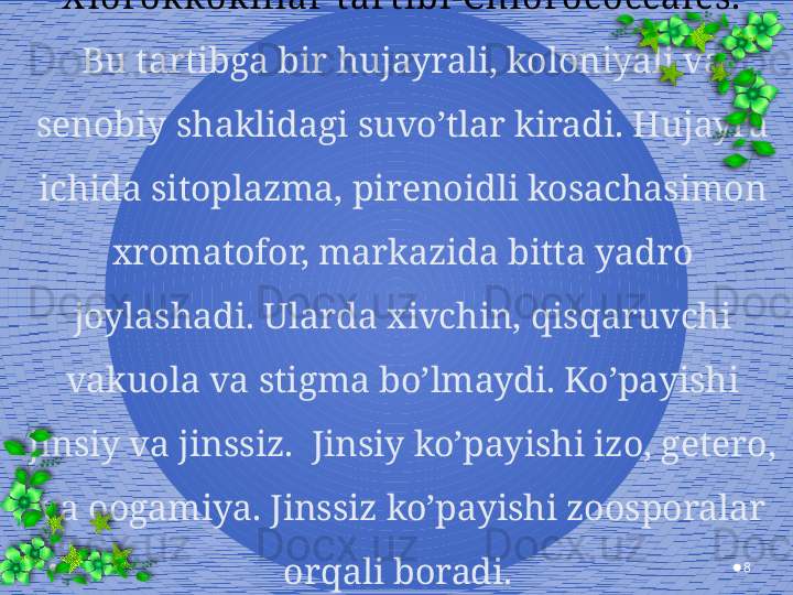 8X lorok kok lilar  t ar tibi-C hlor ococcales.
Bu tartibga bir hujayrali, koloniyali va 
senobiy shaklidagi suvo’tlar kiradi. Hujayra 
ichida sitoplazma, pirenoidli kosachasimon 
xromatofor, markazida bitta yadro 
joylashadi. Ularda xivchin, qisqaruvchi 
vakuola va stigma bo’lmaydi. Ko’payishi 
jinsiy va jinssiz.  Jinsiy ko’payishi izo, getero, 
va oogamiya. Jinssiz ko’payishi zoosporalar 
orqali boradi.  