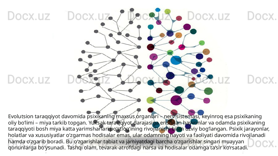 Evolutsion taraqqiyot davomida psixikaning maxsus organlari – nerv sistemasi, keyinroq esa psixikaning 
oliy bo‘limi – miya tarkib topgan. Yuksak taraqqiyot darajasiga erishgan hayvonlar va odamda psixikaning 
taraqqiyoti bosh miya katta yarimsharlari po‘stlog‘ining rivojlanishi bilan uzviy bog‘langan. Psixik jarayonlar, 
holatlar va xususiyatlar o‘zgarmas hodisalar emas, ular odamning hayoti va faoliyati davomida rivojlanadi 
hamda o‘zgarib boradi. Bu o‘zgarishlar tabiat va jamiyatdagi barcha o‘zgarishlar singari muayyan 
qonunlarga bo‘ysunadi.  Tashqi olam , tevarak-atrofdagi narsa va hodisalar odamga ta’sir ko‘rsatadi. 