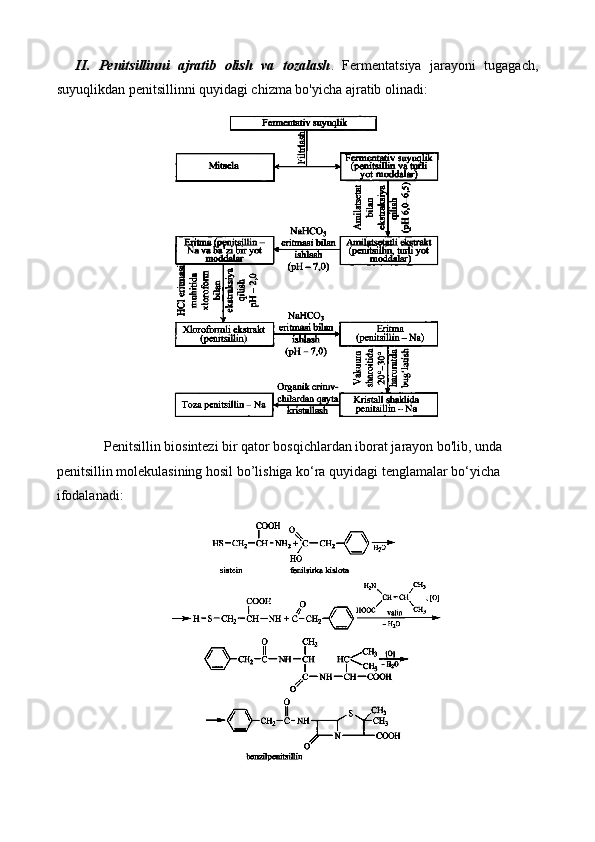 II.   Penitsillinni   ajratib   olish   va   tozalash .   Fermentatsiya   jarayoni   tugagach,
suyuqlikdan penitsillinni quyidagi chizma bo'yicha ajratib olinadi:
        Penitsillin biosintezi bir qator bosqichlardan iborat jarayon bo'lib, unda 
penitsillin molekulasining hosil bo’lishiga ko‘ra quyidagi tenglamalar bo‘yicha 
ifodalanadi: 