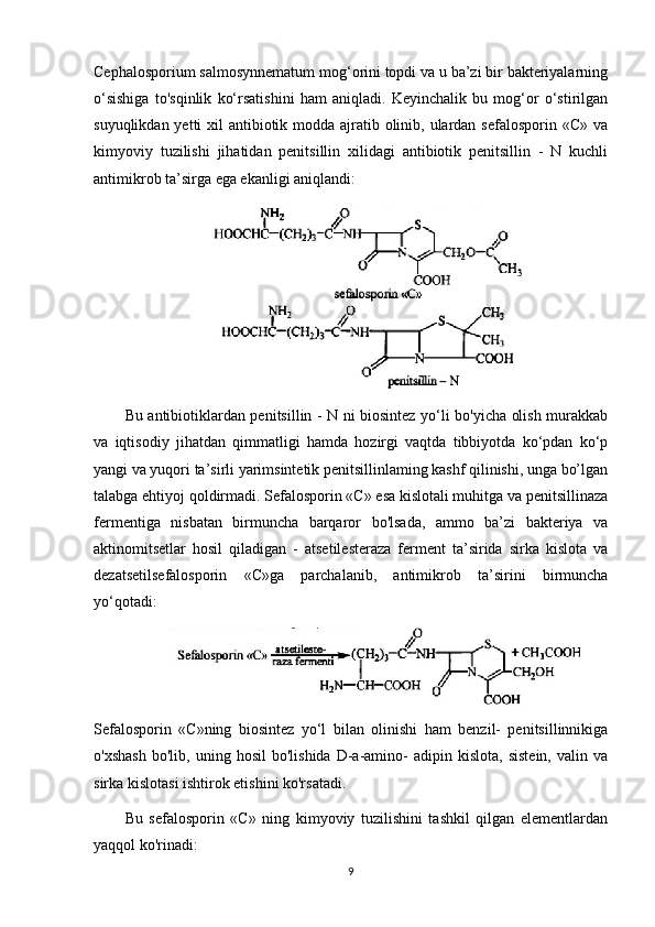 Cephalosporium salmosynnematum mog‘orini topdi va u ba’zi bir bakteriyalarning
o‘sishiga   to'sqinlik   ko‘rsatishini   ham   aniqladi.   Keyinchalik   bu   mog‘or   o‘stirilgan
suyuqlikdan yetti xil  antibiotik modda ajratib olinib, ulardan sefalosporin «C» va
kimyoviy   tuzilishi   jihatidan   penitsillin   xilidagi   antibiotik   penitsillin   -   N   kuchli
antimikrob ta’sirga ega ekanligi aniqlandi:
Bu antibiotiklardan penitsillin - N ni biosintez yo‘li bo'yicha olish murakkab
va   iqtisodiy   jihatdan   qimmatligi   hamda   hozirgi   vaqtda   tibbiyotda   ko‘pdan   ko‘p
yangi va yuqori ta’sirli yarimsintetik penitsillinlaming kashf qilinishi, unga bo’lgan
talabga ehtiyoj qoldirmadi. Sefalosporin «С» esa kislotali muhitga va penitsillinaza
fermentiga   nisbatan   birmuncha   barqaror   bo'lsada,   ammo   ba’zi   bakteriya   va
aktinomitsetlar   hosil   qiladigan   -   atsetilesteraza   ferment   ta’sirida   sirka   kislota   va
dezatsetilsefalosporin   «C»ga   parchalanib,   antimikrob   ta’sirini   birmuncha
yo‘qotadi:
Sefalosporin   «C»ning   biosintez   yo‘l   bilan   olinishi   ham   benzil-   penitsillinnikiga
o'xshash   bo'lib,  uning   hosil   bo'lishida   D-a-amino-   adipin   kislota,   sistein,   valin   va
sirka kislotasi ishtirok etishini ko'rsatadi.
Bu   sefalosporin   «С»   ning   kimyoviy   tuzilishini   tashkil   qilgan   elementlardan
yaqqol ko'rinadi:
9 