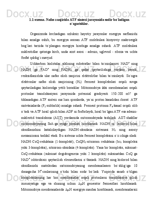 1. 1-sxema. Nafas zanjirida ATF sintezi jarayonida sodir bo`ladigan
o`zgarishlar.
Organizmda   kechadigan   uzluksiz   hayotiy   jarayonlar   energiya   sarflanishi
bilan   amalga   oshib,   bu   energiya   asosan   ATF   molekulasi   kimyoviy   makroergik
bog`lari   tarzida   to`plangan   energiya   hisobiga   amalga   oshadi.   ATF   molekulasi
nukleotidlar   qatoriga   kirib,   unda   azot   asosi   -   adenin,   uglevod   -   riboza   va   uchta
fosfat qoldig`i mavjud.
Uchkarbon   kislotalar   siklining   substratlar   bilan   ta`minlanuvi   NAD +
  ning
NADH   ga   FAD +
  ning   FADH
2   ga   qadar   qaytarilishiga   yordam   beradi,
reoksidlanishda   ular   nafas   olish   zanjirini   elektrolitlar   bilan   ta`minlaydi.   So`ngra
elektronlar   nafas   olish   zanjirining   (Н
3 )   ferment   komplekslari   orqali   suvga
qaytariladigan   kislorodga   yetib   boradilar.   Mitoxondriya   ikki   membranalari   orqali
protonlar   translokasiyasi   jarayonida   potensial   gradiyenti   150-200   mV   ga
tiklanadigan   ATF   sintezi   ma`lum   qismlarda,   ya`ni   proton   kanalidan   iborat.   ATF
sintetazalarda  (F
1 -subbirlik)  amalga oshadi.  Ferment  protonni  F
0 -kanal  orqali  olib
o`tadi va ATF hosil qilish bilan ADF ni fosforlaydi, hosil bo`lgan ATF esa adenin-
nukleotid   translokoza   (AIIT)   yordamida   mitoxondriyada   tashiladi.   AIIT-shakllar
mitoxondriyaning   SsA-ga   sezgir   poralari   hisoblanadi.   NADH   ni     kislorod   bilan
oksidlanishini   katalizlaydigan   NADH-oksidaza   sistemasi   N
3   ning   asosiy
mexanizmini tashkil etadi. Bu sistema uchta ferment kompleksini o`z ichiga oladi:
NADH-CoQ-reduktaza   (1-komplekt),   CoQH
2 -sitoxrom   reduktaza   (bc
1   kompleksi
yoki 3-kompleksi), sitoxrom-oksidaza (4-kompleks). Yana bir kompleks, suksinat-
CoQ-reduktaza   (suksinat   degidrogeneza   yoki   2   kompleks)   suksinatdan   CoQ   ga
NAD +
  ishtirokisiz   qaytarilish   elementlarini   o`tkazadi.   NADH   ning   kislorod   bilan
oksidlanishi   matriksdan   mitoxondriyaning   membranalararo   bo`shlig`iga   10
donagacha   N +
-ionlarining   o`tishi   bilan   sodir   bo`ladi.   Yuqorida   sanab   o`tilgan
komplekslarning   har   biri   membranalar   orqali   protonlarni   translokasiya   qilish
xususiyatiga   ega   va   shuning   uchun    Н   generator   fermentlari   hisoblanadi.
Mitoxondriya membranalarida    Н energiya manbai hisoblanadi, membranalarsiz 