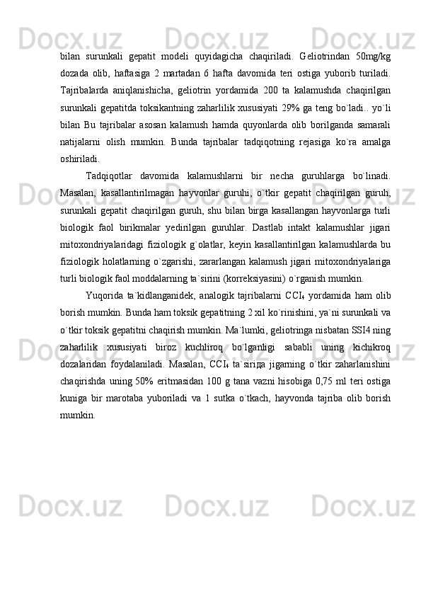 bilan   surunkali   gepatit   modeli   quyidagicha   chaqiriladi.   Geliotrindan   50mg/kg
dozada   olib,   haftasiga   2   martadan   6   hafta   davomida   teri   ostiga   yuborib   turiladi.
Tajribalarda   aniqlanishicha,   geliotrin   yordamida   200   ta   kalamushda   chaqirilgan
surunkali gepatitda toksikantning zaharlilik xususiyati  29% ga teng bo`ladi.. yo`li
bilan   Bu   tajribalar   asosan   kalamush   hamda   quyonlarda   olib   borilganda   samarali
natijalarni   olish   mumkin.   Bunda   tajribalar   tadqiqotning   rejasiga   ko`ra   amalga
oshiriladi. 
Tadqiqotlar   davomida   kalamushlarni   bir   necha   guruhlarga   bo`linadi.
Masalan,   kasallantirilmagan   hayvonlar   guruhi,   o`tkir   gepatit   chaqirilgan   guruh,
surunkali gepatit chaqirilgan guruh, shu bilan birga kasallangan hayvonlarga turli
biologik   faol   birikmalar   yedirilgan   guruhlar.   Dastlab   intakt   kalamushlar   jigari
mitoxondriyalaridagi   fiziologik   g`olatlar,   keyin   kasallantirilgan   kalamushlarda   bu
fiziologik   holatlarning   o`zgarishi,   zararlangan   kalamush   jigari   mitoxondriyalariga
turli biologik faol moddalarning ta`sirini (korreksiyasini) o`rganish mumkin. 
Yuqorida   ta`kidlanganidek,   analogik   tajribalarni   ССI
4   yordamida   ham   olib
borish mumkin. Bunda ham toksik gepatitning 2 xil ko`rinishini, ya`ni surunkali va
o`tkir toksik gepatitni chaqirish mumkin. Ma`lumki, geliotringa nisbatan SSI4 ning
zaharlilik   xususiyati   biroz   kuchliroq   bo`lganligi   sababli   uning   kichikroq
dozalaridan   foydalaniladi.   Masalan,   ССI
4   tа`siriда   jigarning   o`tkir   zaharlanishini
chaqirishda  uning 50%  eritmasidan  100 g  tana  vazni  hisobiga  0,75  ml  teri  ostiga
kuniga   bir   marotaba   yuboriladi   va   1   sutka   o`tkach,   hayvonda   tajriba   olib   borish
mumkin. 