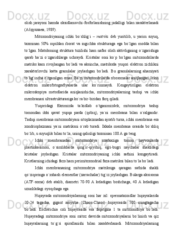olish jarayoni hamda oksidlanuvchi-fosforlanishning jadalligi bilan xarakterlanadi
(Абдуллаев, 1989).
Mitoxondriyaning   ichki   bo`shlig`i   –   matriks   deb   yuritilib,   u   yarim   suyuq,
taxminan   50%   oqsildan   iborat   va   ingichka   strukturaga   ega   bo`lgan   modda   bilan
to`lgan.  Matriksning  struktura  tuzilishi   ham  nafas  olish  aktivligining o`zgarishiga
qarab   ba`zi   o`zgarishlarga   uchraydi.   Kristalar   soni   ko`p   bo`lgan   mitoxondrilarda
matriks   kam   rivojlangan   bo`ladi   va   aksincha,   matriksda   yuqori   elektron  zichlikni
xarakterlovchi   katta   granulalar   joylashgan   bo`ladi.   Bu   granulalarning   ahamiyati
to`lig`incha o`rganilgan emas. Ba`zi mitoxondrilarda ribosomalar aniqlangan, lekin
elektron   mikrofotografiyalarda   ular   ko`rinmaydi.   Kengaytirilgan   elektron
mikroskopiya   metodlarida   aniqlanishicha,   mitoxondriyalarning   tashqi   va   ichki
membranasi ultrastrukturasiga ko`ra bir-biridan farq qiladi. 
Yuqoridagi   fikrimizda   ta`kidlab   o`tganimizdek,   mitoxondriya   tashqi
tomondan   ikki   qavat   yupqa   parda   (qobiq),   ya`ni   membrana   bilan   o`ralgandir.
Tashqi membrana mitoxondriyani sitoplazmadan ajratib tursa, ichki membrana esa
xondrioplazmani   ya`ni   matriksni   o`rab   turadi.   Ikkala   membrana   orasida   bo`shliq
bo`lib, u suyuqlik bilan to`la, uning qalinligi taxminan 100 A ga teng.
Ichki   membranadan   mitoxondriya   markaziga   tomon   hayvonlarda
plastinkasimon,   o`simliklarda   qing`ir-qiyshiq,   egri-bugri   naychalar   shaklidagi
kristalar   joylashgan.   Kristalar   mitoxondriyaning   ichki   sathini   kengaytiradi.
Kristlarning ichidagi fazo ham perimitoxondrial faza matriksi bilan to`la bo`ladi.
Ichki   membrananing   mitoxondriya   matriksiga   qaragan   sathida   shakli
qo`ziqoringa o`xshash elementlar (zarrachalar) tig`iz joylashgan. Bularga aksisoma
(ATF-soma)   deb   atalib,   diametri   70-90   A   keladigan   boshchaga,   40   A   keladigan
uzunlikdagi oyoqchaga ega. 
Hujayrada   mitoxondriyalarning   soni   har   xil:   spermatazoidlar   hujayralarida
20-24   tagacha,   gigant   amyoba   (Chaos-Chaos)   hujayrasida   500   mingtagacha
bo`ladi.   Escherichia   coli   hujayrasida   esa   faqatgina   1   ta   mitoxondriya   bo`ladi.
Hujayradagi   mitoxondriya   soni   mitoz   davrida   mitoxondriyalarni   bo`linish   va   qiz
hujayralarning   to`g`ri   spirallanishi   bilan   xarakterlanadi.   Mitoxondriyalarning 