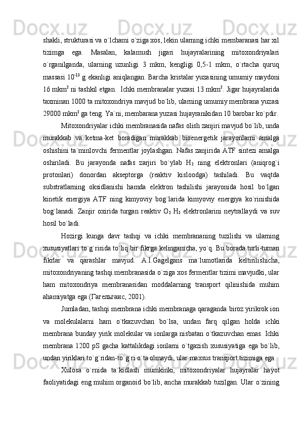 shakli, strukturasi va o`lchami o`ziga xos, lekin ularning ichki membaranasi har xil
tizimga   ega.   Masalan,   kalamush   jigari   hujayralarining   mitoxondriyalari
o`rganilganda,   ularning   uzunligi   3   mkm,   kengligi   0,5-1   mkm,   o`rtacha   quruq
massasi 10 -13
  g ekanligi aniqlangan. Barcha kristalar yuzasining umumiy maydoni
16 mkm 2
 ni tashkil etgan.  Ichki membranalar yuzasi 13 mkm 2
. Jigar hujayralarida
taxminan 1000 ta mitoxondriya mavjud bo`lib, ularning umumiy membrana yuzasi
29000 mkm 2
 ga teng. Ya`ni, membarana yuzasi hujayranikidan 10 barobar ko`pdir.
Mitoxondriyalar ichki membranasida nafas olish zanjiri mavjud bo`lib, unda
murakkab   va   ketma-ket   boradigan   murakkab   bioenergetik   jarayonlarni   amalga
oshishini  ta`minlovchi  fermentlar joylashgan. Nafas zanjirida ATF sintezi  amalga
oshiriladi.   Bu   jarayonda   nafas   zarjiri   bo`ylab   Н
2   ning   elektronlari   (aniqrog`i
protonlari)   donordan   akseptorga   (reaktiv   kisloodga)   tashiladi.   Bu   vaqtda
substratlarning   oksidlanishi   hamda   elektron   tashilishi   jarayonida   hosil   bo`lgan
kinetik   energiya   ATF   ning   kimyoviy   bog`larida   kimyoviy   energiya   ko`rinishida
bog`lanadi.   Zanjir   oxirida   turgan   reaktiv   O
2   Н
2   elektronlarini   neytrallaydi   va   suv
hosil bo`ladi. 
Hozirgi   kunga   davr   tashqi   va   ichki   membrananing   tuzilishi   va   ularning
xususiyatlari to`g`risida to`liq bir fikrga kelinganicha, yo`q. Bu borada turli-tuman
fikrlar   va   qarashlar   mavjud.   A.I.Gagelgans   ma`lumotlarida   keltirilishicha,
mitoxondriyaning tashqi membranasida o`ziga xos fermentlar tizimi mavjudki, ular
ham   mitoxondriya   membranasidan   moddalarning   transport   qilinishida   muhim
ahamiyatga ega (Гагельганс, 2001). 
Jumladan, tashqi membrana ichki membranaga qaraganda biroz yirikrok ion
va   molekulalarni   ham   o`tkazuvchan   bo`lsa,   undan   farq   qilgan   holda   ichki
membrana bunday yirik molekular va ionlarga nisbatan o`tkazuvchan emas. Ichki
membrana   1200   pS  gacha   kattalikdagi   ionlarni   o`tgazish   xususiyatiga   ega   bo`lib,
undan yiriklari to`g`ridan-to`g`ri o`ta olmaydi, ular maxsus transport tizimiga ega. 
Xulosa   o`rnida   ta`kidlash   mumkinki,   mitoxondriyalar   hujayralar   hayot
faoliyatidagi eng muhim organoid bo`lib, ancha murakkab tuzilgan. Ular o`zining 