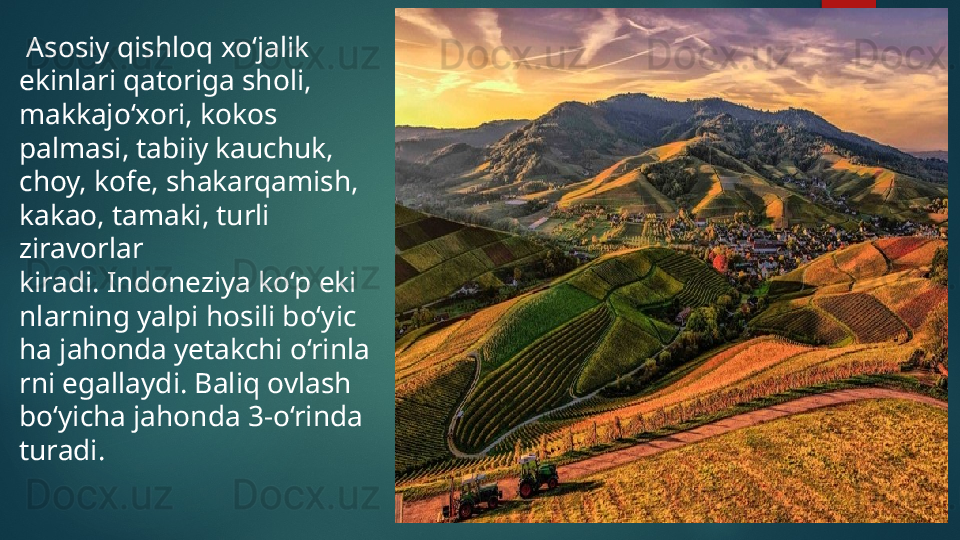   Asosiy qishloq xo‘jalik 
ekinlari qatoriga sholi, 
makkajo‘xori, kokos 
palmasi, tabiiy kauchuk, 
choy, kofe, shakarqamish, 
kakao, tamaki, turli 
ziravorlar 
kiradi. Indoneziya ko‘p eki
nlarning yalpi hosili bo‘yic
ha jahonda yetakchi o‘rinla
rni egallaydi. Baliq ovlash 
bo‘yicha jahonda 3-o‘rinda 
turadi.
.   