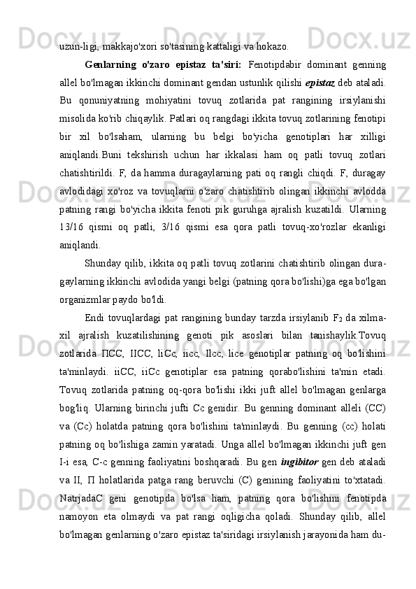 uzun-ligi, makkajo'xori so'tasining kattaligi va hokazo.
Genlarning   o'zaro   epistaz   ta'siri:   Fenotipdabir   dominant   genning
allel bo'lmagan ikkinchi dominant gendan ustunlik qilishi  epistaz  deb ataladi.
Bu   qonuniyatning   mohiyatini   tovuq   zotlarida   pat   rangining   irsiylanishi
misolida ko'rib chiqaylik. Patlari oq rangdagi ikkita tovuq zotlarining fenotipi
bir   xil   bo'lsaham,   ularning   bu   belgi   bo'yicha   genotiplari   har   xilligi
aniqlandi.Buni   tekshirish   uchun   har   ikkalasi   ham   oq   patli   tovuq   zotlari
chatishtirildi.  F, da hamma duragaylarning  pati oq  rangli chiqdi.  F, duragay
avlodidagi   xo'roz   va   tovuqlarni   o'zaro   chatishtirib   olingan   ikkinchi   avlodda
patning   rangi   bo'yicha   ikkita   fenoti   pik   guruhga   ajralish   kuzatildi.   Ularning
13/16   qismi   oq   patli,   3/16   qismi   esa   qora   patli   tovuq-xo'rozlar   ekanligi
aniqlandi.
Shunday qilib, ikkita oq patli tovuq zotlarini chatishtirib olingan dura -
gaylarning ikkinchi avlodida yangi belgi (patning qora bo'lishi)ga ega bo'lgan
organizmlar paydo bo'ldi.
Endi   tovuqlardagi  pat   rangining  bunday  tarzda  irsiylanib  F
2   da  xilma-
xil   ajralish   kuzatilishining   genoti   pik   asoslari   bilan   tanishaylik.Tovuq
zotlarida   ПСС ,   IICC,   liCc,   iicc,   Ilcc,   lice   genotiplar   patning   oq   bo'lishini
ta'minlaydi.   iiCC,   iiCc   genotiplar   esa   patning   qorabo'lishini   ta'min   etadi.
Tovuq   zotlarida   patning   oq-qora   bo'lishi   ikki   juft   allel   bo'lmagan   genlarga
bog'liq. Ularning  birinchi  jufti Cc genidir. Bu  genning  dominant  alleli  (CC)
va   (Cc)   holatda   patning   qora   bo'lishini   ta'minlaydi.   Bu   genning   (cc)   holati
patning oq bo'lishiga zamin yaratadi. Unga allel bo'lmagan ikkinchi juft gen
I-i esa, C-c genning faoliyatini boshqaradi. Bu gen   ingibitor   gen deb ataladi
va   II,   П   holatlarida   patga   rang   beruvchi   (C)   genining   faoliyatini   to'xtatadi.
NatrjadaC   geni   genotipda   bo'lsa   ham,   patning   qora   bo'lishini   fenotipda
namoyon   eta   olmaydi   va   pat   rangi   oqligicha   qoladi.   Shunday   qilib,   allel
bo'lmagan genlarning o'zaro epistaz ta'siridagi irsiylanish jarayonida ham du- 