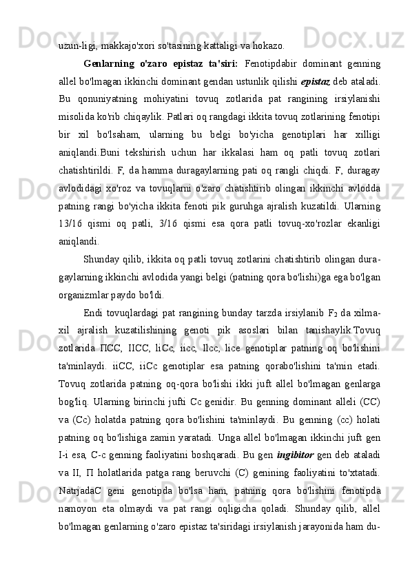 uzun-ligi, makkajo'xori so'tasining kattaligi va hokazo.
Genlarning   o'zaro   epistaz   ta'siri:   Fenotipdabir   dominant   genning
allel bo'lmagan ikkinchi dominant gendan ustunlik qilishi  epistaz  deb ataladi.
Bu   qonuniyatning   mohiyatini   tovuq   zotlarida   pat   rangining   irsiylanishi
misolida ko'rib chiqaylik. Patlari oq rangdagi ikkita tovuq zotlarining fenotipi
bir   xil   bo'lsaham,   ularning   bu   belgi   bo'yicha   genotiplari   har   xilligi
aniqlandi.Buni   tekshirish   uchun   har   ikkalasi   ham   oq   patli   tovuq   zotlari
chatishtirildi.  F, da hamma duragaylarning  pati oq  rangli chiqdi.  F, duragay
avlodidagi   xo'roz   va   tovuqlarni   o'zaro   chatishtirib   olingan   ikkinchi   avlodda
patning   rangi   bo'yicha   ikkita   fenoti   pik   guruhga   ajralish   kuzatildi.   Ularning
13/16   qismi   oq   patli,   3/16   qismi   esa   qora   patli   tovuq-xo'rozlar   ekanligi
aniqlandi.
Shunday qilib, ikkita oq patli tovuq zotlarini chatishtirib olingan dura -
gaylarning ikkinchi avlodida yangi belgi (patning qora bo'lishi)ga ega bo'lgan
organizmlar paydo bo'ldi.
Endi   tovuqlardagi  pat   rangining  bunday  tarzda  irsiylanib  F
2   da  xilma-
xil   ajralish   kuzatilishining   genoti   pik   asoslari   bilan   tanishaylik.Tovuq
zotlarida   ПСС ,   IICC,   liCc,   iicc,   Ilcc,   lice   genotiplar   patning   oq   bo'lishini
ta'minlaydi.   iiCC,   iiCc   genotiplar   esa   patning   qorabo'lishini   ta'min   etadi.
Tovuq   zotlarida   patning   oq-qora   bo'lishi   ikki   juft   allel   bo'lmagan   genlarga
bog'liq. Ularning  birinchi  jufti Cc genidir. Bu  genning  dominant  alleli  (CC)
va   (Cc)   holatda   patning   qora   bo'lishini   ta'minlaydi.   Bu   genning   (cc)   holati
patning oq bo'lishiga zamin yaratadi. Unga allel bo'lmagan ikkinchi juft gen
I-i esa, C-c genning faoliyatini boshqaradi. Bu gen   ingibitor   gen deb ataladi
va   II,   П   holatlarida   patga   rang   beruvchi   (C)   genining   faoliyatini   to'xtatadi.
NatrjadaC   geni   genotipda   bo'lsa   ham,   patning   qora   bo'lishini   fenotipda
namoyon   eta   olmaydi   va   pat   rangi   oqligicha   qoladi.   Shunday   qilib,   allel
bo'lmagan genlarning o'zaro epistaz ta'siridagi irsiylanish jarayonida ham du-