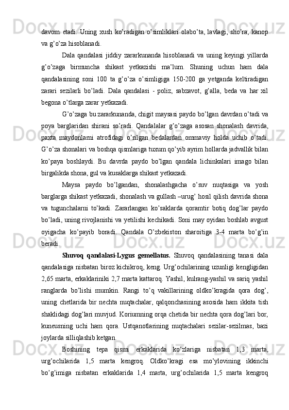 davom   etadi.   Uning   xush   ko’radigan   o’simliklari   olabo’ta,   lavlagi,   sho’ra,   kanop
va g’o’za hisoblanadi.
Dala   qandalasi   jiddiy   zararkunanda   hisoblanadi   va   uning   keyingi   yillarda
g’o’zaga   birmuncha   shikast   yetkazishi   ma’lum.   Shuning   uchun   ham   dala
qandalasining   soni   100   ta   g’o’za   o’simligiga   150-200   ga   yetganda   keltiradigan
zarari   sezilarli   bo’ladi.   Dala   qandalasi   -   poliz,   sabzavot,   g’alla,   beda   va   har   xil
begona o’tlarga zarar yetkazadi.
G’o’zaga bu zararkunanda, chigit maysasi paydo bo’lgan davrdan o’tadi va
poya   barglaridan   shirani   so’radi.   Qandalalar   g’o’zaga   asosan   shonalash   davrida,
paxta   maydonlarni   atrofidagi   o’rilgan   bedalardan   ommaviy   holda   uchib   o’tadi.
G’o’za shonalari va boshqa qismlariga tuxum qo’yib ayrim hollarda jadvallik bilan
ko’paya   boshlaydi.   Bu   davrda   paydo   bo’lgan   qandala   lichinkalari   imago   bilan
birgalikda shona, gul va kusaklarga shikast yetkazadi.
Maysa   paydo   bo’lgandan,   shonalashgacha   o’suv   nuqtasiga   va   yosh
barglarga shikast yetkazadi, shonalash va gullash –urug’ hosil qilish davrida shona
va   tugunchalarni   to’kadi.   Zararlangan   ko’saklarda   qoramtir   botiq   dog’lar   paydo
bo’ladi, uning rivojlanishi va yetilishi kechikadi. Soni may oyidan boshlab avgust
oyigacha   ko’payib   boradi.   Qandala   O’zbekiston   sharoitiga   3-4   marta   bo’g’in
beradi.
Shuvoq   qandalasi-Lygus   gemellatus.   Shuvoq   qandalasining   tanasi   dala
qandalasiga nisbatan biroz kichikroq, keng. Urg’ochilarining uzunligi kengligidan
2,65 marta, erkaklariniki 2,7 marta kattaroq. Yashil, kulrang-yashil va sariq yashil
ranglarda   bo’lishi   mumkin.   Rangi   to’q   vakillarining   oldko’kragida   qora   dog’,
uning   chetlarida   bir   nechta   nuqtachalar,   qalqonchasining   asosida   ham   ikkita   tish
shaklidagi dog’lari muvjud. Koriumning orqa chetida bir nechta qora dog’lari bor,
kuneusning   uchi   ham   qora.   Ustqanotlarining   nuqtachalari   sezilar-sezilmas,   bazi
joylarda silliqlashib ketgan.
Boshining   tepa   qismi   erkaklarida   ko’zlariga   nisbatan   1,3   marta,
urg’ochilarida   1,5   marta   kengroq.   Oldko’kragi   esa   mo’ylovining   ikkinchi
bo’g’imiga   nisbatan   erkaklarida   1,4   marta,   urg’ochilarida   1,5   marta   kengroq 