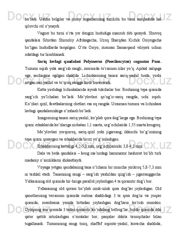 bo’ladi.   Ushbu   belgilar   va   jinsiy   organlarining   tuzilishi   bu   turni   aniqlashda   hal
qiluvchi rol o’ynaydi.
Vagner   bu   turni   o’rta   yer   dengizi   hududiga   mansub   deb   qaraydi.   Shuvoq
qandalasi   Sibirdan   Shimoliy   Afrikagacha,   Uzoq   Sharqdan   Kichik   Osiyogacha
bo’lgan   hududlarda   tarqalgan.   O’rta   Osiyo,   xususan   Samarqand   viloyati   uchun
odatdagi tur hisoblanadi.
Sariq   lavlagi   qandalasi   Polymerus   (Poeciloscytus)   cognatus   Panz.
Tuxumi oqish yoki sarg’ish rangli, xorionida to’rsimon izlar yo’q. Apikal xalqaga
ega,   anchagina   egilgan   shaklda.   Lichinkasining   tanasi   sariq-yashil   tusda,   yoshi
ortgan sari yashil va to’qroq rangga kirib boraveradi.
Katta yoshdagi lichinkalarida siyrak tukchalar bor. Boshining tepa qismida
sarg’ich   yo’lchalari   bo’ladi.   Mo’ylovlari   qo’ng’ir-sariq   rangda,   uchi   oqish.
Ko’zlari qizil, fasetkalarning chetlari esa oq rangda. Umuman tuxumi va lichinkasi
lavlagi qandalasinikiga o’xshash bo’ladi.
Imagosining tanasi sariq-yashil, ko’plab qora dog’larga ega. Boshining tepa
qismi erkaklarida ko’zlariga nisbatan 1,1 marta, urg’ochilarida 1,55 marta kengroq.
Mo’ylovlari   yorqinroq,   sariq-qizil   yoki   jigarrang,   ikkinchi   bo’g’imining
tepa qismi qoraygan va erkaklarida biroz yo’g’onlashgan.
Erkaklarining kattaligi 4,2-5,0 mm, urg’ochilariniki 3,8-4,3 mm.
Dala va beda qandalasi  – keng ma nodagi  hammaxur  hashorat  bo lib turliʼ ʼ
madaniy o simliklarni shikastlaydi.	
ʼ
Voyaga yetgan qandalaning tana o lchami bir muncha yirikroq 5,8-7,3 mm	
ʼ
ni   tashkil   etadi.   Tanasining   rangi   –   sarg ish   yashildan   qizg ish   –   jigarranggacha.
ʼ ʼ
Yelkasining old qismida bir-biriga parallel joylashgan 4 ta qoramtir dog i bor.	
ʼ
Yelkasining   old   qirrasi   bo ylab   uzuk-uzuk   qora   dog lar   joylashgan.   Old	
ʼ ʼ
qanotlarining   terisimon   qismida   surtma   shaklidagi   3   ta   qora   dog ni   va   yuqori	
ʼ
qismida,   membrana   yonida   bittadan   joylashgan   dog larni   ko rish   mumkin.	
ʼ ʼ
Oyoqning son qismida 3 tadan qoramtir ko ndalang belbog lar, boldir qismida ikki	
ʼ ʼ
qator   qattik   xitinlashgan   o simtalar   bor,   panjalar   ikkita   tirnoqchalar   bilan	
ʼ
tugallanadi.   Tuxumining   rangi   tiniq,   shaffof   oqimtir-yashil,   kuvacha   shaklida, 