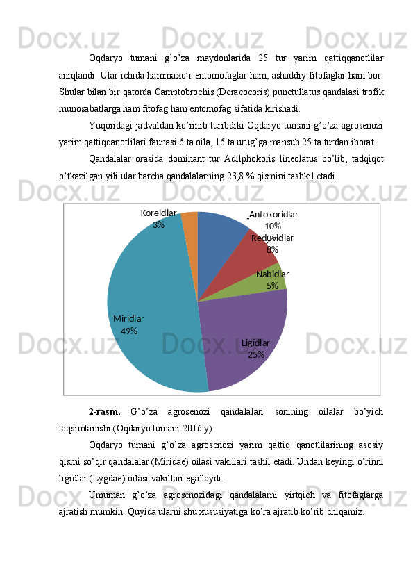 Oqdaryo   tumani   g’o’za   maydonlarida   25   tur   yarim   qattiqqanotlilar
aniqlandi.   Ular ichida hammaxo’r entomofaglar ham, ashaddiy fitofaglar ham bor.
Shular   bilan   bir   qatorda   Camptobrochis   (Deraeocoris)   punctullatus   qandalasi   trofik
munosabatlarga   ham   fitofag   ham   entomofag   sifatida   kirishadi.
Yuqoridagi jadvaldan ko’rinib turibdiki Oqdaryo tumani g’o’za agrosenozi
yarim   qattiqqanotlilari faunasi   6 ta   oila,   16   ta   urug’ga   mansub 25   ta   turdan   iborat.
Qandalalar   orasida   dominant   tur   Adilphokoris   lineolatus   bo’lib,   tadqiqot
o’tkazilgan   yili   ular   barcha   qandalalarning   23,8 %   qismini   tashkil etadi.
2-rasm.   G’o’za   agrosenozi   qandalalari   sonining   oilalar   bo’yich
taqsimlanishi (Oqdaryo tumani 2016   y)
Oqdaryo   tumani   g’o’za   agrosenozi   yarim   qattiq   qanotlilarining   asosiy
qismi   so’qir   qandalalar   (Miridae)   oilasi   vakillari   tashil   etadi.   Undan   keyingi   o’rinni
ligidlar   (Lygdae)   oilasi   vakillari   egallaydi.
Umuman   g’o’za   agrosenozidagi   qandalalarni   yirtqich   va   fitofaglarga
ajratish   mumkin.   Quyida   ularni   shu xususiyatiga   ko’ra   ajratib ko’rib chiqamiz.Koreidlar
3%   Antokoridlar
10%
Reduvidlar
8%
Nabidlar
5%
Miridlar
49%
Ligidlar
25% 
