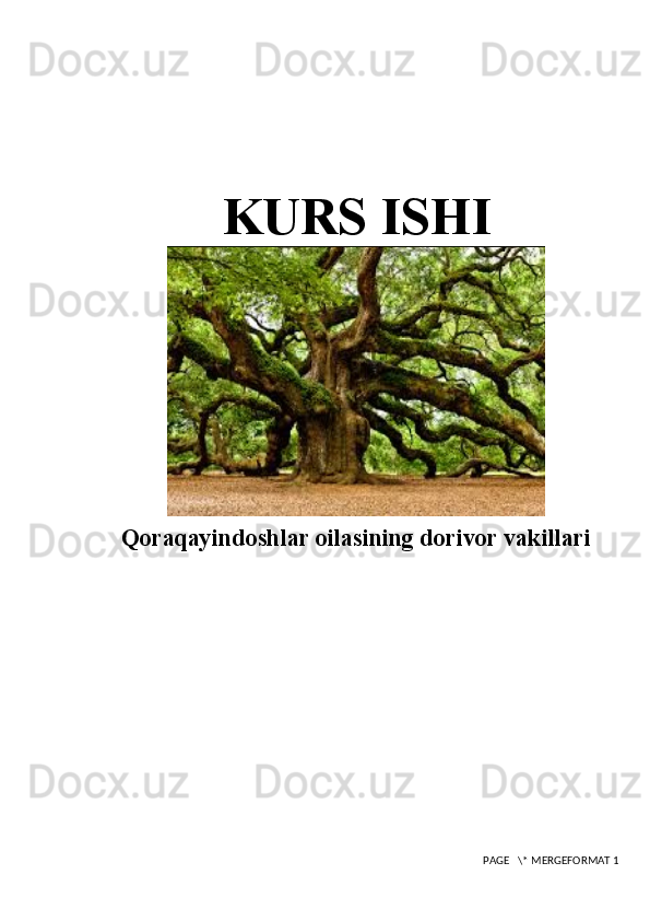 KURS IS H I
Qoraqayindoshlar oilasining dorivor vakillari
 PAGE   \* MERGEFORMAT 1 