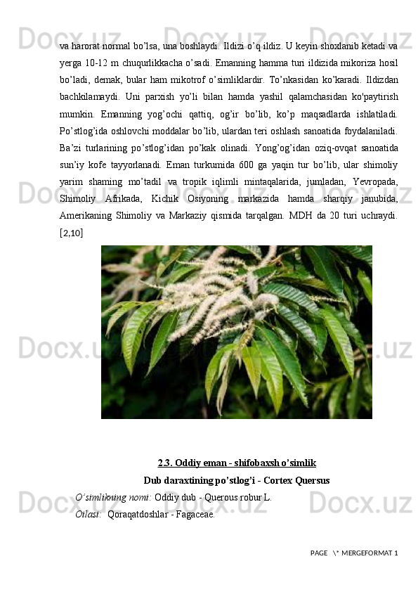 va harorat normal bo’lsa, una boshlaydi.  Ildizi o’q ildiz. U keyin shoxlanib ketadi va
yerga 10-12 m chuqurlikkacha o’sadi.   Emanning hamma turi ildizida mikoriza hosil
bo ’ ladi,   demak,   bular   ham   mikotrof   o’simliklardir.   To’nkasidan   ko’karadi.   Ildizdan
bachkilamaydi.   Uni   parxish   yo’li   bilan   hamda   yashil   qalamchasidan   ko'paytirish
mumkin.   Emanning   yog’ochi   qattiq,   og’ir   bo ’ lib,   ko’p   maqsadlarda   ishlatiladi.
Po’stlog’ida oshlovchi moddalar bo ’ lib, ulardan teri oshlash   sanoatida foydalaniladi.
Ba’zi   turlarining   po ’ stlog’idan   po’kak   olinadi.   Yong’og’idan   oziq-ovqat   sanoatida
sun’iy   kofe   tayyorlanadi.   Eman   turkumida   600   ga   yaqin   tur   bo’lib,   ular   shimoliy
yarim   shaming   mo’tadil   va   tropik   iqlimli   mintaqalarida,   jumladan,   Yevropada,
Shimoliy   Afrikada,   Kichik   Osiyoning   markazida   hamda   sharqiy   janubida,
Amerikaning   Shimoliy   va   Markaziy   qismida   tarqalgan.   MDH   da   20   turi   uchraydi.
[ 2,10 ]
2.3. Oddiy eman - shifobaxsh o’simlik
Dub daraxtining po’stlog’i - Cortex Quersus
O’simlikning nomi:  Oddiy dub - Querous robur L.
Oilasi:   Qoraqatdoshlar - Fagaceae.  
 PAGE   \* MERGEFORMAT 1 