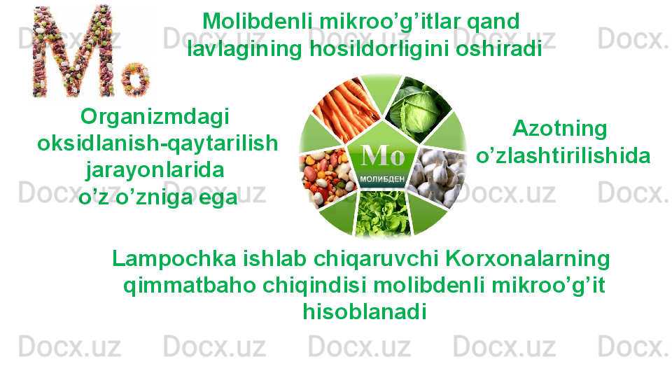 Molibdenli mikroo’g’itlar qand 
lavlagining hosildorligini oshiradi
Lampochka ishlab chiqaruvchi Korxonalarning 
qimmatbaho chiqindisi molibdenli mikroo’g’it 
hisoblanadiOrganizmdagi 
oksidlanish-qaytarilish
jarayonlarida 
o’z o’zniga ega Azotning 
o’zlashtirilishida 