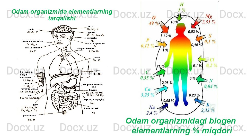 Odam organizmida elementlarning 
tarqalishi
Odam organizmidagi biogen 
elementlarning % miqdori 