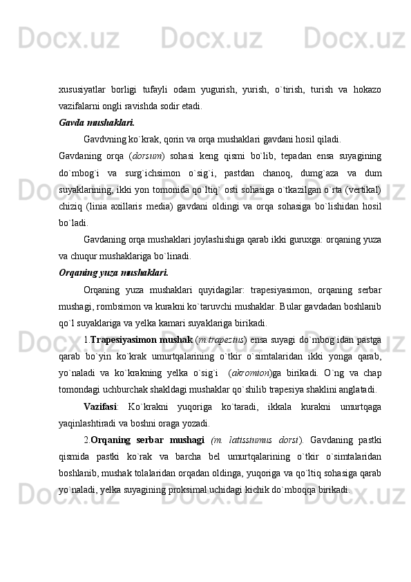 xususiyatlar   borligi   tufayli   odam   yugurish,   yurish,   o`tirish,   turish   va   hokazo
vazifalarni ongli ravishda sodir etadi.
Gavda mushaklari.
Gavdvning ko`krak, qorin va orqa mushaklari gavdani hosil qiladi.
Gavdaning   orqa   ( dorsum )   sohasi   keng   qismi   bo`lib,   tepadan   ensa   suyagining
do`mbog`i   va   surg`ichsimon   o`sig`i,   pastdan   chanoq,   dumg`aza   va   dum
suyaklarining, ikki yon tomonida qo`ltiq` osti sohasiga o`tkazilgan o`rta (vertikal)
chiziq   (linia   axillaris   media)   gavdani   oldingi   va   orqa   sohasiga   bo`lishidan   hosil
bo`ladi.  
Gavdaning orqa mushaklari joylashishiga qarab ikki guruxga: orqaning yuza
va chuqur mushaklariga bo`linadi.
Orqaning yuza mushaklari .
Orqaning   yuza   mushaklari   quyidagilar:   trapesiyasimon,   orqaning   serbar
mushagi, rombsimon va kurakni ko`taruvchi mushaklar. Bular gavdadan boshlanib
qo`l suyaklariga va yelka kamari suyaklariga birikadi.
1. Trapesiyasimon mushak   ( m.trapezius ) ensa suyagi do`mbog`idan pastga
qarab   bo`yin   ko`krak   umurtqalarining   o`tkir   o`simtalaridan   ikki   yonga   qarab,
yo`naladi   va   ko`krakning   yelka   o`sig`i     ( akromion )ga   birikadi.   O`ng   va   chap
tomondagi uchburchak shakldagi mushaklar qo`shilib trapesiya shaklini anglatadi. 
Vazifasi :   Ko`krakni   yuqoriga   ko`taradi,   ikkala   kurakni   umurtqaga
yaqinlashtiradi va boshni oraga yozadi.
2. Orqaning   serbar   mushagi   (m.   latissiumus   dorsi ).   Gavdaning   pastki
qismida   pastki   ko`rak   va   barcha   bel   umurtqalarining   o`tkir   o`simtalaridan
boshlanib, mushak tolalaridan orqadan oldinga, yuqoriga va qo`ltiq sohasiga qarab
yo`naladi, yelka suyagining proksimal uchidagi kichik do`mboqqa birikadi. 