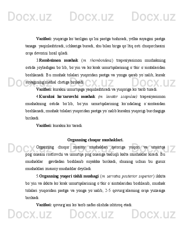 Vazifasi:  yuqoriga ko`tarilgan qo`lni pastga tushiradi, yelka suyagini pastga
tanaga  yaqinlashtiradi, ichkariga buradi, shu bilan birga qo`ltiq osti chuqurchasini
orqa devorini hosil qiladi.
3. Rombsimon   mushak   ( m.   rhomboideus )   trapesiyasimon   mushakning
ostida   joylashgan   bo`lib,   bo`yin   va   ko`krak   umurtqalarining   o`tkir   o`simtalaridan
boshlanadi.   Bu   mushak   tolalari   yuqoridan  pastga   va   yonga   qarab  yo`nalib,  kurak
suyagining medial chetiga birikadi.
Vazifasi:  kurakni umurtqaga yaqinlashtiradi va yuqoriga ko`tarib turadi.
4. Kurakni   ko`taruvchi   mushak   (m.   levator   scapulae)   trapesiyasimon
mushakning   ostida   bo`lib,   bo`yin   umurtqalarining   ko`ndalang   o`simtasidan
boshlanadi, mushak tolalari yuqoridan pastga yo`nalib kurakni yuqorigi burchagiga
birikadi.
Vazifasi:  kurakni ko`taradi. 
Organning chuqur mushaklari.
Organning   chuqur   xususiy   mushaklari   qatoriga   yuqori   va   umurtqa
pog`onasini rostlovchi va umurtqa pog`onasiga taaluqli kalta mushaklar kiradi. Bu
mushaklar     gavdadan   boshlanib   suyakka   birikadi,   shuning   uchun   bu   gurux
mushaklari xususiy mushaklar deyiladi.
5. Organning yuqori tishli mushagi   ( m. serratus posterior superior ) ikkita
bo`yin va ikkita ko`krak umurtqalarining o`tkir  o`simtalaridan boshlanib, mushak
tolalari   yuqoridan   pastga   va   yonga   yo`nalib,   2-5   qovurg`alarning   orqa   yuzasiga
birikadi. 
Vazifasi:  qovurg`ani ko`tarib nafas olishda ishtiroq etadi. 