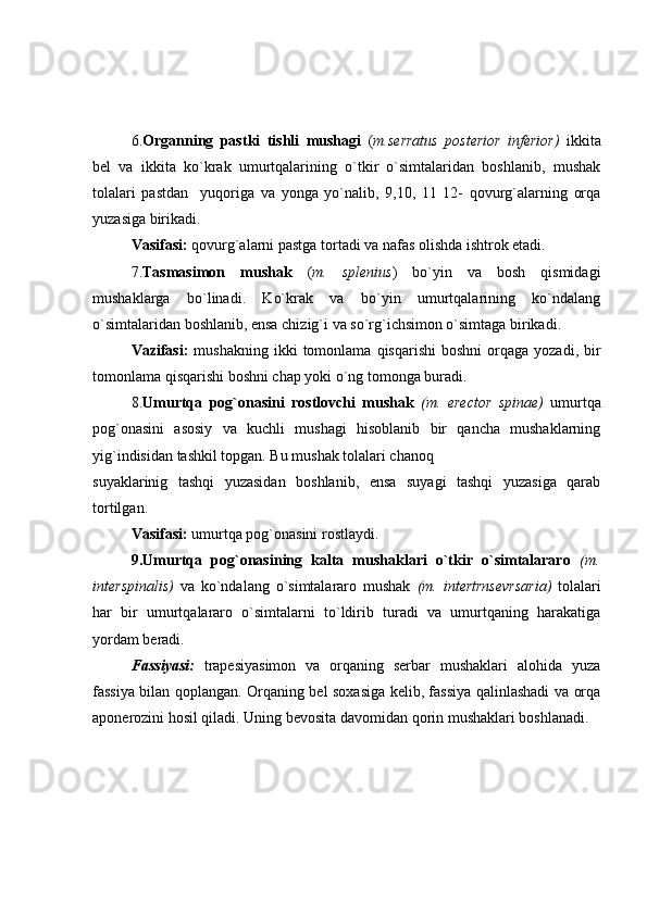 6. Organning   pastki   tishli   mushagi   ( m.serratus   posterior   inferior)   ikkita
bel   va   ikkita   ko`krak   umurtqalarining   o`tkir   o`simtalaridan   boshlanib,   mushak
tolalari   pastdan     yuqoriga   va   yonga   yo`nalib,   9,10,   11   12-   qovurg`alarning   orqa
yuzasiga birikadi.
Vasifasi:  qovurg`alarni pastga tortadi va nafas olishda ishtrok etadi.
7. Tasmasimon   mushak   ( m.   splenius )   bo`yin   va   bosh   qismidagi
mushaklarga   bo`linadi.   Ko`krak   va   bo`yin   umurtqalarining   ko`ndalang
o`simtalaridan boshlanib, ensa chizig`i va so`rg`ichsimon o`simtaga birikadi. 
Vazifasi:   mushakning  ikki  tomonlama  qisqarishi   boshni  orqaga  yozadi,  bir
tomonlama qisqarishi boshni chap yoki o`ng tomonga buradi.
8. Umurtqa   pog`onasini   rostlovchi   mushak   (m.   erector   spinae)   umurtqa
pog`onasini   asosiy   va   kuchli   mushagi   hisoblanib   bir   qancha   mushaklarning
yig`indisidan tashkil topgan. Bu mushak tolalari chanoq
suyaklarinig   tashqi   yuzasidan   boshlanib,   ensa   suyagi   tashqi   yuzasiga   qarab
tortilgan.
Vasifasi:  umurtqa pog`onasini rostlaydi.
9.Umurtqa   pog`onasining   kalta   mushaklari   o`tkir   o`simtalararo   (m.
interspinalis)   va   ko`ndalang   o`simtalararo   mushak   (m.   intertrnsevrsaria)   tolalari
har   bir   umurtqalararo   o`simtalarni   to`ldirib   turadi   va   umurtqaning   harakatiga
yordam beradi.
Fassiyasi:   trapesiyasimon   va   orqaning   serbar   mushaklari   alohida   yuza
fassiya bilan qoplangan. Orqaning bel soxasiga kelib, fassiya qalinlashadi va orqa
aponerozini hosil qiladi. Uning bevosita davomidan qorin mushaklari boshlanadi. 