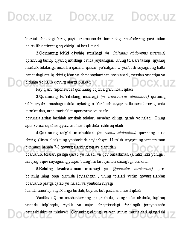 laterial   chetidagi   keng   payi   qarama-qarshi   tomondagi   mushakning   payi   bilan
qo`shilib qorinning oq chizig`ini hosil qiladi.
2.Qorinning   ichki   qiyshiq   mushagi   (m.   Obliquus   abdominis   internus)
qorinning tashqi qiyshiq mushagi ostida joylashgan. Uning tolalari tashqi   qiyshiq
mushak tolalariga nisbatan qarama-qarshi   yo`nalgan. U yonbosh suyagining katta
qanotidagi oraliq chizig`idan va chov boylamidan boshlanadi, pastdan yuqoriga va
oldinga yo`nalib qovurg`alarga birikadi.
Pay qismi (aponevroz) qorinning oq chizig`ini hosil qiladi.
3.Qorinning   ko`ndalang   mushagi   (m.   transversus   abdominis)   qorining
ichki qiyshiq mushagi ostida joylashgan. Yonbosh suyagi katta qanotlarning ichki
qirralaridan, orqa mushaklar aponevrozi va pastki
qovurg`alardan   boshlab   mushak   tolalari   orqadan   olinga   qarab   yo`naladi.   Uning
aponevrozi oq chiziq yuzasini hosil qilishda  ishtiroq etadi.
4.Qorinning   to`g`ri   mushaklari   (m.   rectus   abdominis)   qorinning   o`rta
chizigi   (linea   alba)   ning   yonboshida   joylashgan.   U   to`sh   suyagining   xanjarsimon
o`simtasi hamda 7-8 qovurg`alarning tog`ay qismidan
boshlanib, tolalari pastga qarab yo`naladi va qov birlashmasi (simfiz)ikki yoniga ,
aniqrog`i qov suyagining yuqori butog`ini taroqsimon chizig`iga birikadi.
5.Belning   kvadratsimon   mushagi   (m.   Quadratus   lumborum)   qorin
bo`shlig`ining   orqa   qismida   joylashgan   ,   uning   tolalari   yetim   qovurg`alardan
boshlanib pastga qarab yo`naladi va yonbosh suyagi
hamda umurtqa suyaklariga birikib, buyrak ko`rpachasini hosil qiladi.
Vazifasi:   Qorin   mushaklarining   qisqarishida,   uning   nafas   olishida,   tug`ruq
vaqtida   tulg`oqda,   siydik   va   najas   chiqarishdagi   fiziologik   jarayonlarda
qatnashishini   ta`minlaydi.   Qorinning   oldingi   va   yon   gurux   mushaklari   qisqarishi 