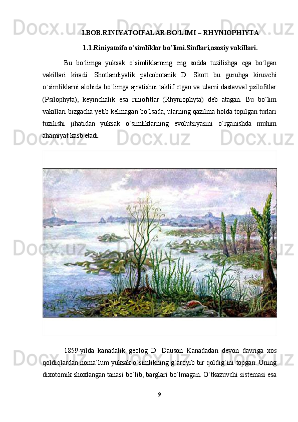 I.BOB.RINIYATOIFALAR BO`LIMI – RHYNIOPHIYTA
1.1.Riniyatoifa o’simliklar bo’limi.Sinflari,asosiy vakillari.
Bu   bo`limga   yuksak   o`simliklarning   eng   sodda   tuzilishga   ega   bo`lgan
vakillari   kiradi.   Shotlandiyalik   paleobotanik   D.   Skott   bu   guruhga   kiruvchi
o`simliklarni alohida bo`limga ajratishni taklif etgan va ularni dastavval psilofitlar
(Psilophyta),   keyinchalik   esa   riniofitlar   (Rhyniophyta)   deb   atagan.   Bu   bo`lim
vakillari bizgacha yetib kelmagan bo`lsada, ularning qazilma holda topilgan turlari
tuzilishi   jihatidan   yuksak   o`simliklarning   evolutsiyasini   o`rganishda   muhim
ahamiyat kasb etadi. 
1859-yilda   kanadalik   geolog   D.   Dauson   Kanadadan   devon   davriga   xos
qoldiqlardan noma`lum yuksak o`simlikning g`aroyib bir qoldig`ini topgan. Uning
dixotomik shoxlangan tanasi bo`lib, barglari bo`lmagan. O`tkazuvchi sistemasi esa
9 