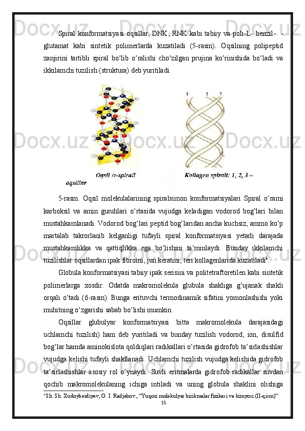 Spiral   konformatsiyasi  oqsillar,  DNK,  RNK  kabi  tabiiy  va poli-L-  benzil-    -
glutamat   kabi   sintetik   polimerlarda   kuzatiladi   (5-rasm).   Oqsilning   polipeptid
zanjirini   tartibli   spiral   bo‘lib   o‘ralishi   cho‘zilgan   prujina   ko‘rinishida   bo‘ladi   va
ikkilamchi tuzilish (struktura) deb yuritiladi.
5-rasm.   Oqsil   molekulalarining   spiralsimon   konformatsiyalari   Spiral   o‘rami
karboksil   va   amin   guruhlari   o‘rtasida   vujudga   keladigan   vodorod   bog‘lari   bilan
mustahkamlanadi. Vodorod bog‘lari peptid bog‘laridan ancha kuchsiz, ammo ko‘p
martalab   takrorlanib   kelganligi   tufayli   spiral   konformatsiyasi   yetarli   darajada
mustahkamlikka   va   qattiqlikka   ega   bo‘lishini   ta’minlaydi.   Bunday   ikkilamchi
tuzilishlar oqsillardan ipak fibroini, jun keratini, teri kollagenlarida kuzatiladi 4
.
Globula konformatsiyasi tabiiy ipak serisini va politetraftoretilen kabi sintetik
polimerlarga   xosdir.   Odatda   makromolekula   glubula   shakliga   g‘ujanak   shakli
orqali   o‘tadi   (6-rasm).  Bunga   erituvchi   termodinamik   sifatini   yomonlashishi   yoki
muhitning o‘zgarishi sabab bo‘lishi mumkin.
Oqsillar   glubulyar   konformatsiyasi   bitta   makromolekula   darajasidagi
uchlamchi   tuzilish)   ham   deb   yuritiladi   va   bunday   tuzilish   vodorod,   ion,   disulfid
bog‘lar hamda aminokislota qoldiqlari radikallari o‘rtasida gidrofob ta’sirlashishlar
vujudga kelishi tufayli shakllanadi. Uchlamchi tuzilish vujudga kelishida gidrofob
ta’sirlashishlar   asosiy   rol   o‘ynaydi.   Suvli   eritmalarda   gidrofob   radikallar   suvdan
qochib   makromolekulaning   ichiga   intiladi   va   uning   globula   shaklini   olishiga
4
  Sh. Sh. Xudoyberdiyev, O. I. Radjabov., “Yuqori molekulyar birikmalar fizikasi va kimyosi (II-qism)”
15 