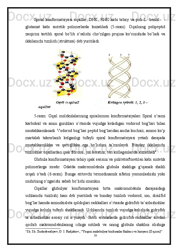 Spiral   konformatsiyasi  oqsillar,  DNK,  RNK  kabi  tabiiy  va poli-L-  benzil-    -
glutamat   kabi   sintetik   polimerlarda   kuzatiladi   (5-rasm).   Oqsilning   polipeptid
zanjirini   tartibli   spiral   bo‘lib   o‘ralishi   cho‘zilgan   prujina   ko‘rinishida   bo‘ladi   va
ikkilamchi tuzilish (struktura) deb yuritiladi.
5-rasm.   Oqsil   molekulalarining   spiralsimon   konformatsiyalari   Spiral   o‘rami
karboksil   va   amin   guruhlari   o‘rtasida   vujudga   keladigan   vodorod   bog‘lari   bilan
mustahkamlanadi. Vodorod bog‘lari peptid bog‘laridan ancha kuchsiz, ammo ko‘p
martalab   takrorlanib   kelganligi   tufayli   spiral   konformatsiyasi   yetarli   darajada
mustahkamlikka   va   qattiqlikka   ega   bo‘lishini   ta’minlaydi.   Bunday   ikkilamchi
tuzilishlar oqsillardan ipak fibroini, jun keratini, teri kollagenlarida kuzatiladi 4
.
Globula konformatsiyasi tabiiy ipak serisini va politetraftoretilen kabi sintetik
polimerlarga   xosdir.   Odatda   makromolekula   glubula   shakliga   g‘ujanak   shakli
orqali   o‘tadi   (6-rasm).  Bunga   erituvchi   termodinamik   sifatini   yomonlashishi   yoki
muhitning o‘zgarishi sabab bo‘lishi mumkin.
Oqsillar   glubulyar   konformatsiyasi   bitta   makromolekula   darajasidagi
uchlamchi   tuzilish)   ham   deb   yuritiladi   va   bunday   tuzilish   vodorod,   ion,   disulfid
bog‘lar hamda aminokislota qoldiqlari radikallari o‘rtasida gidrofob ta’sirlashishlar
vujudga kelishi tufayli shakllanadi. Uchlamchi tuzilish vujudga kelishida gidrofob
ta’sirlashishlar   asosiy   rol   o‘ynaydi.   Suvli   eritmalarda   gidrofob   radikallar   suvdan
qochib   makromolekulaning   ichiga   intiladi   va   uning   globula   shaklini   olishiga
4
  Sh. Sh. Xudoyberdiyev, O. I. Radjabov., “Yuqori molekulyar birikmalar fizikasi va kimyosi (II-qism)”
15