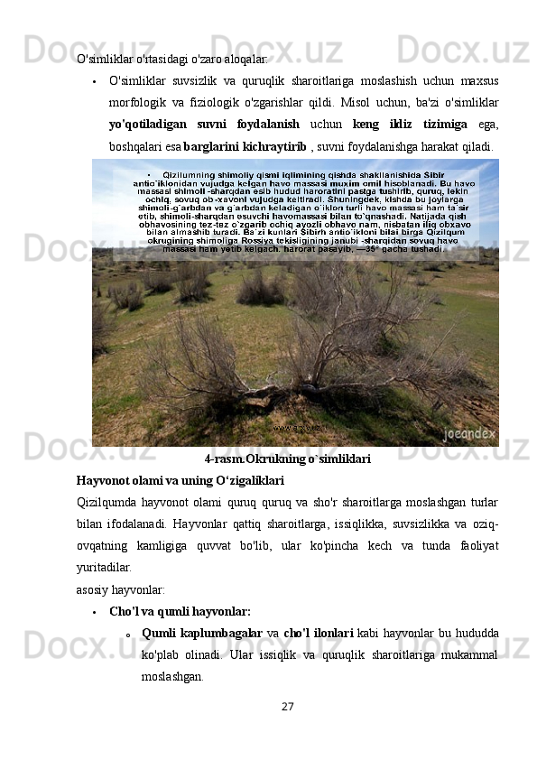 O'simliklar o'rtasidagi o'zaro aloqalar:
 O'simliklar   suvsizlik   va   quruqlik   sharoitlariga   moslashish   uchun   maxsus
morfologik   va   fiziologik   o'zgarishlar   qildi.   Misol   uchun,   ba'zi   o'simliklar
yo'qotiladigan   suvni   foydalanish   uchun   keng   ildiz   tizimiga   ega,
boshqalari esa  barglarini kichraytirib  , suvni foydalanishga harakat qiladi.
4-rasm.Okrukning o`simliklari
Hayvonot olami va uning O‘zigaliklari
Qizilqumda   hayvonot   olami   quruq   quruq   va   sho'r   sharoitlarga   moslashgan   turlar
bilan   ifodalanadi.   Hayvonlar   qattiq   sharoitlarga,   issiqlikka,   suvsizlikka   va   oziq-
ovqatning   kamligiga   quvvat   bo'lib,   ular   ko'pincha   kech   va   tunda   faoliyat
yuritadilar.
asosiy hayvonlar:
 Cho'l va qumli hayvonlar:
o Qumli kaplumbagalar   va   cho'l ilonlari   kabi hayvonlar bu hududda
ko'plab   olinadi.   Ular   issiqlik   va   quruqlik   sharoitlariga   mukammal
moslashgan.
27 