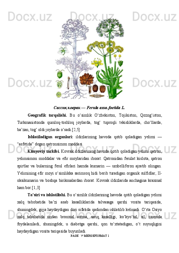 Сассиқ коврак — Ferula assa-foetida L.
Geografik   tarqalishi.   Bu   o‘simlik   O‘zbekiston,   Tojikiston,   Qozog‘iston,
Turkmanistonda   qumloq-toshloq   joylarda,   tog‘   tuproqli   tekisliklarda,   cho‘llarda,
ba’zan, tog‘ oldi joylarda o‘sadi.[2,5]
Ishlatiladigan   organlari:   ildizlarining   havoda   qotib   qoladigan   yelimi   —
“asfetida” degan qatronsimon moddasi.
Kimyoviy tarkibi.  Kovrak ildizlarining havoda qotib qoladigan yelimi qatron,
yelimsimon   moddalar   va   efir   moylaridan   iborat.   Qatronidan   ferulat   kislota,   qatron
spirtlar   va   bularning   ferul   efirlari   hamda   kumarin   —   umbelliferon   ajratib   olingan.
Yelimining efir  moyi  o‘simlikka  sarimsoq hidi  berib turadigan organik sulfidlar, II-
oksikumarin   va   boshqa   birikmalardan   iborat.   Kovrak   ildizlarida   anchagina   kraxmal
ham bor.[1,3]
Ta’siri va ishlatilishi.  Bu o‘simlik ildizlarining havoda qotib qoladigan yelimi
xalq   tabobatida   ba’zi   asab   kasalliklarida   talvasaga   qarshi   vosita   tariqasida,
shuningdek, gijja haydaydigan dori sifatida qadimdan ishlatilib kelinadi. O‘rta Osiyo
xalq   tabobatida   undan   bronxial   astma,   sariq   kasalligi,   ko‘kyo‘tal,   sil,   zaxmda
foydalaniladi,   shuningdek,   u   diabetga   qarshi,   qon   to‘xtatadigan,   o‘t   suyuqligini
haydaydigan vosita tariqasida buyuriladi.
 PAGE   \* MERGEFORMAT 1 