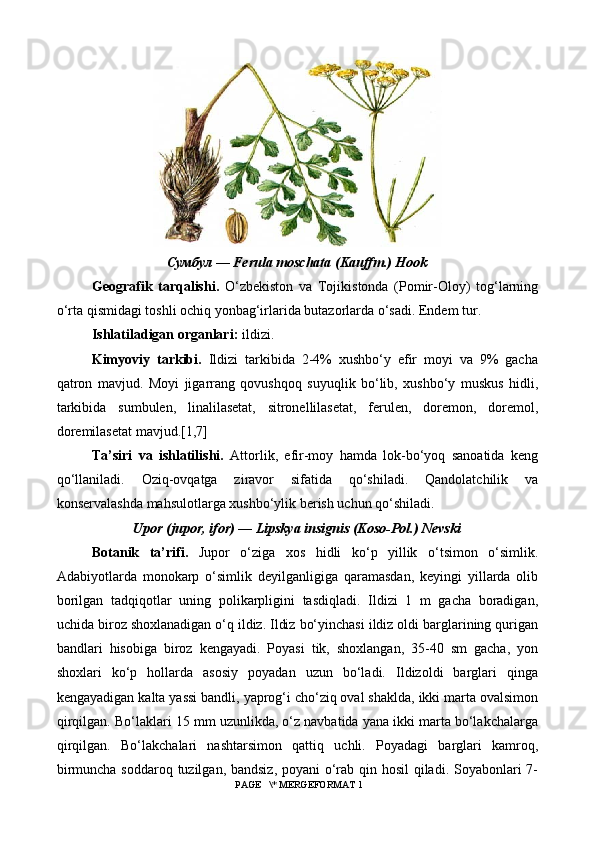 Сумбул — Ferula moschata (Kauffm.) Hook
Geografik   tarqalishi.   O‘zbekiston   va   Tojikistonda   (Pomir-Oloy)   tog‘larning
o‘rta qismidagi toshli ochiq yonbag‘irlarida butazorlarda o‘sadi. Endem tur.
Ishlatiladigan organlari:  ildizi.
Kimyoviy   tarkibi.   Ildizi   tarkibida   2-4%   xushbo‘y   efir   moyi   va   9%   gacha
qatron   mavjud.   Moyi   jigarrang   qovushqoq   suyuqlik   bo‘lib,   xushbo‘y   muskus   hidli,
tarkibida   sumbulen,   linalilasetat,   sitronellilasetat,   ferulen,   doremon,   doremol,
doremilasetat mavjud.[1,7]
Ta’siri   va   ishlatilishi.   Attorlik,   efir-moy   hamda   lok-bo‘yoq   sanoatida   keng
qo‘llaniladi.   Oziq-ovqatga   ziravor   sifatida   qo‘shiladi.   Qandolatchilik   va
konservalashda mahsulotlarga xushbo‘ylik berish uchun qo‘shiladi.
Upor (jupor, ifor) — Lipskya insignis (Koso-Pol.) Nevski
Botanik   ta’rifi.   Jupor   o‘ziga   xos   hidli   ko‘p   yillik   o‘tsimon   o‘simlik.
Adabiyotlarda   monokarp   o‘simlik   deyilganligiga   qaramasdan,   keyingi   yillarda   olib
borilgan   tadqiqotlar   uning   polikarpligini   tasdiqladi.   Ildizi   1   m   gacha   boradigan,
uchida biroz shoxlanadigan o‘q ildiz. Ildiz bo‘yinchasi ildiz oldi barglarining qurigan
bandlari   hisobiga   biroz   kengayadi.   Poyasi   tik,   shoxlangan,   35-40   sm   gacha,   yon
shoxlari   ko‘p   hollarda   asosiy   poyadan   uzun   bo‘ladi.   Ildizoldi   barglari   qinga
kengayadigan kalta yassi bandli, yaprog‘i cho‘ziq oval shaklda, ikki marta ovalsimon
qirqilgan. Bo‘laklari 15 mm uzunlikda, o‘z navbatida yana ikki marta bo‘lakchalarga
qirqilgan.   Bo‘lakchalari   nashtarsimon   qattiq   uchli.   Poyadagi   barglari   kamroq,
birmuncha soddaroq tuzilgan, bandsiz, poyani o‘rab qin hosil  qiladi. Soyabonlari 7-
 PAGE   \* MERGEFORMAT 1 