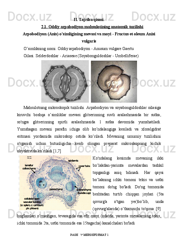 II. Tajriba qismi .
2   .1. Oddiy arpabodiyon mahsulotining anatomik tuzilishi   
Arpobodiyon (Anis) o’simligining m е vasi va moyi - Fructus et oleum Anisi
vulgaris
O’simlikning nomi. Oddiy arpabodiyon - Anusum vulgare Gaertu
Oilasi. S е ld е rdoshlar - Arias е a е  (Soyabonguldoshlar - Umbellifera е )
  
Mahsulotning mikroskopik tuzilishi. Arpabodiyon va soyabonguldoshlar oilasiga
kiruvchi   boshqa   o’simliklar   mevasi   glitserinning   suvli   aralashmasida   bir   sutka,
so'ngra   glitserinning   spirtli   aralashmasida   1   sutka   davomida   yumshatiladi.
Yumshagan   mevani   parafin   ichiga   olib   ko’ndalangiga   kesiladi   va   xloralgidrat
eritmasi   yordamida   mikroskop   ostida   ko’riladi.   Mevaning   umumiy   tuzilishini
o'rganish   uchun   butunligicha   kesib   olingan   preparat   mikroskopning   kichik
obyektivida ko’riladi.[1,7]
Ko'ndalang   kesimda   mevaning   ikki
bo’lakdan-yarimta   mevalardan   tashkil
topganligi   aniq   bilinadi.   Har   qaysi
bo’lakning   ichki   tomoni   tekis   va   ustki
tomoni   do'ng   bo'ladi.   Do'ng   tomonida
beshtadan   turtib   chiqqan   joylari   (5ta
qovurg'a   o'tgan   yer)bo’lib,   unda
(qovurg'alarida) o’tkazuvchi to'qima .[9]
bog'lamlari o’rnashgan, tevaragida esa efir moyi (odatda, yarimta mevalarning tekis,
ichki tomonida 2ta, ustki tomonida esa 15tagacha) kanalchalari bo'ladi
 PAGE   \* MERGEFORMAT 1 