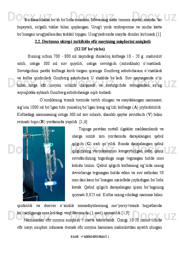  Bu kanalchalar bo'sh bo’lishi mumkin. Mevaning ustki tomoni siyrak, mayda, bir
hujayrali,   so'galli   tuklar   bilan   qoplangan.   Urug'i   yirik   endosperma   va   uncha   katta
bo’lmagan urug'pallasidan tashkil topgan. Umg'yadrosida mayda druzlar ko'rinadi.[1]
2   .2. Dorixona ukropi tarkibida efir moyining miqdorini aniqlash   
(XI DF b o’ yicha)
Buning   uchun   700   -   800   ml   xajmdagi   dumaloq   kolbaga   10   -   20   g     mahsulot
solib,   ustiga   300   ml   suv   quyilib,   ustiga   sovutgich   (xolodilnik)   o’rnatiladi.
Sovutgichini   pastki   kolbaga   kirib   turgan   qismiga   Ginzb е rg   asbobchasini   o’rnatiladi
va   kolba   qizdiriladi   Ginzb е rg   asbobchasi   U   shaklda   bo’ladi.   Suv   qaynaganda   o’zi
bilan   birga   efir   moyini   uchirib   chiqaradi   va   sovutgichda   sovugandan   so’ng
suyuqlikka aylanib Ginzb е rg asbobchasiga oqib tushadi. 
                    O’simlikning   texnik   torozida   tortib   olingan   va   maydalangan   namunasi
sig’imi 1000 ml bo’lgan tubi yumaloq bo’lgan keng og’izli kolbaga ( A ) joylashtirildi.
Kolbadagi namunaning ustiga 300 ml suv solinib, sharikli qaytar sovutkich ( V ) bilan
rezinali tiqin ( B ) yordamida yopildi. [1,6]
     Tiqinga   pastdan   metall   ilgaklar   mahkamlandi   va
ularga   nozik   sim   yordamida   darajalangan   qabul
qilgich   ( G )   osib   qo’yildi.   Bunda   darajalangan   qabul
qilgichning   voronkasimon   kengaytirilgan   ustki   qismi
sovutkichning   tugashiga   unga   tegmagan   holda   mos
kelishi  lozim. Qabul  qilgich kolbaning og’zida uning
devorlariga tegmagan holda erkin va suv sathidan 50
mm dan kam bo’lmagan masofada joylashgan bo’lishi
kerak.   Qabul   qilgich   darajalangan   qismi   bo’lagining
qiymati 0,025 ml. Kolba uning ichidagi namuna bilan 
qizdirildi   va   dorivor   o’simlik   xomashyolarining   me’yoriy-texnik   hujjatlarida
ko’rsatilganga mos holdagi vaqt davomida (1 soat) qaynatildi.[1,9]
Namunadan efir moyini aniqlash 5 marta takrorlandi.   Oxirgi 10-20 minut ichida
efir moyi miqdori oshmasa d е mak efir moyini hammasi mahsulotdan ajratib olingan
 PAGE   \* MERGEFORMAT 1 