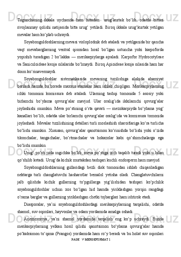 Tugunchaning   ikkala   uychasida   ham   bittadan     urug‘kurtak   bo‘lib,   odatda   bittasi
rivojlanmay qolishi  natijasida bitta urug‘  yetiladi. Biroq ikkala urug‘kurtak yetilgan
mevalar ham ko‘plab uchraydi.
Soyabonguldoshlarning mevasi visloplodnik deb ataladi va yetilganida bir qancha
vaqt   mevabarglarning   ventral   qismidan   hosil   bo‘lgan   ustuncha   yoki   karpoforda
yopishib   turadigan   2   bo‘lakka   —   merikarpiylarga   ajraladi.   Karpofor   Hydrocotyleae
va Saniculoideae kenja oilalarida bo‘lmaydi. Biroq Apioideae kenja oilasida ham har
doim ko‘rinavermaydi.
Soyabonguldoshlar   sistematikasida   mevaning   tuzilishiga   alohida   ahamiyat
beriladi  hamda bu borada maxsus atamalar  ham ishlab chiqilgan. Merikarpiylarning
ichki   tomonini   komissura   deb   ataladi.   Ularning   tashqi   tomonida   5   asosiy   yoki
birlamchi   bo‘ylama   qovurg‘alar   mavjud.   Ular   oralig‘ida   ikkilamchi   qovurg‘alar
joylashishi   mumkin.   Meva   po‘stining   o‘rta   qavati   —   mezokarpiyda   bo‘ylama   yog‘
kanallari bo‘lib, odatda ular birlamchi qovurg‘alar oralig‘ida va komissura tomonida
joylashadi. Mevalar tuzilishining detallari turli moslashish sharoitlariga ko‘ra turlicha
bo‘lishi   mumkin.  Xususan,   qovurg‘alar   qanotsimon  ko‘rinishda   bo‘lishi   yoki  o‘zida
tikonchalar,   tangachalar,   bo‘rtmachalar   va   hokazolar   kabi   qo‘shimchalarga   ega
bo‘lishi mumkin.
Urug‘ po‘sti juda ingichka bo‘lib, meva po‘stiga zich taqalib turadi yoki u bilan
qo‘shilib ketadi. Urug‘da kichik murtakdan tashqari kuchli endosperm ham mavjud.
Soyabonguldoshlarning   gullaridagi   bezli   disk   tomonidan   ishlab   chiqariladigan
nektarga   turli   changlatuvchi   hasharotlar   bemalol   yetisha   oladi.   Changlatuvchilarni
jalb   qilishda   kichik   gullarning   to‘pgullarga   yig‘ilishidan   tashqari   ko‘pchilik
soyabonguldoshlar   uchun   xos   bo‘lgan   hid   hamda   yiriklashgan   yorqin   rangdagi
o‘rama barglar va gullarning yiriklashgan chetki tojbarglari ham ishtirok etadi.
Diasporalar,   ya’ni   soyabonguldoshlardagi   merikarpiylarning   tarqalishi,   odatda
shamol, suv oqimlari, hayvonlar va odam yordamida amalga oshadi.
Anemoxoriya,   ya’ni   shamol   yordamida   tarqalish   eng   ko‘p   uchraydi.   Bunda
merikarpiylarning   yelkan   hosil   qilishi   qanotsimon   bo‘ylama   qovurg‘alar   hamda
po‘kaksimon to‘qima (Prangos) yordamida ham ro‘y beradi va bu holat suv oqimlari
 PAGE   \* MERGEFORMAT 1 